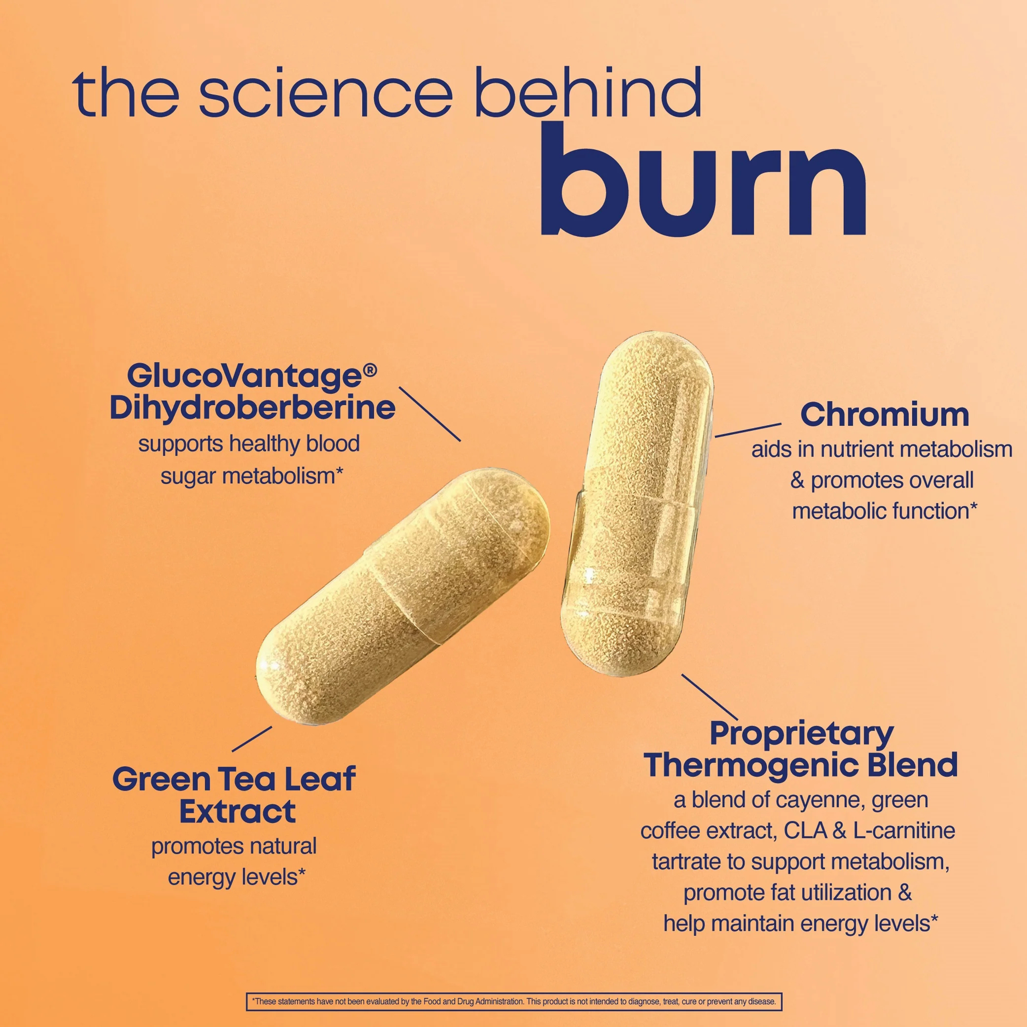 Her Own, Burn, 60 Capsules