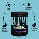 Animal, Juiced Aminos® Powder, Grape, 14.3 oz (405 g)