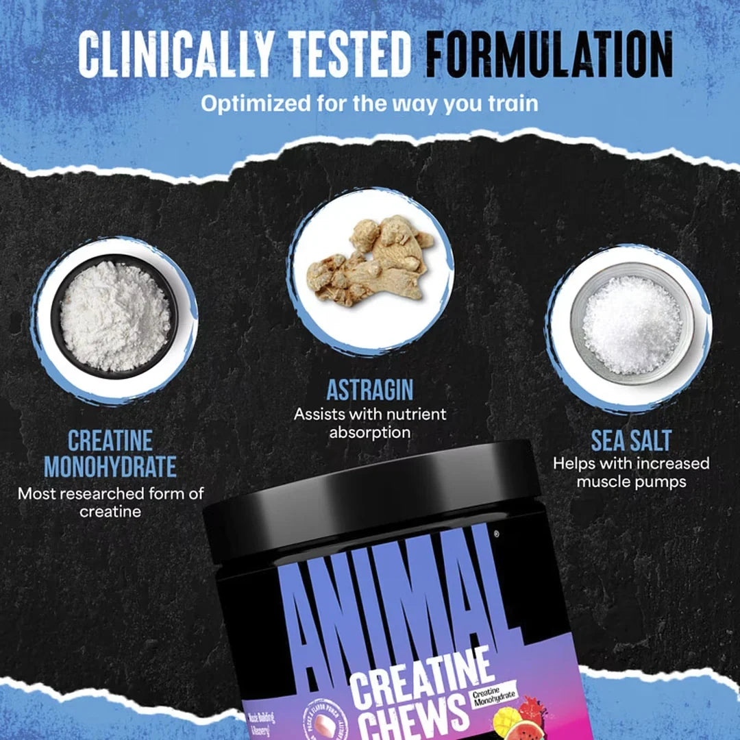 Animal, Creatine Chews, Fruit Punch, 120 Chewable Tablets
