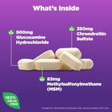 Natrol, Glucosamine, Chondoritin & MSM - 150 Tablets