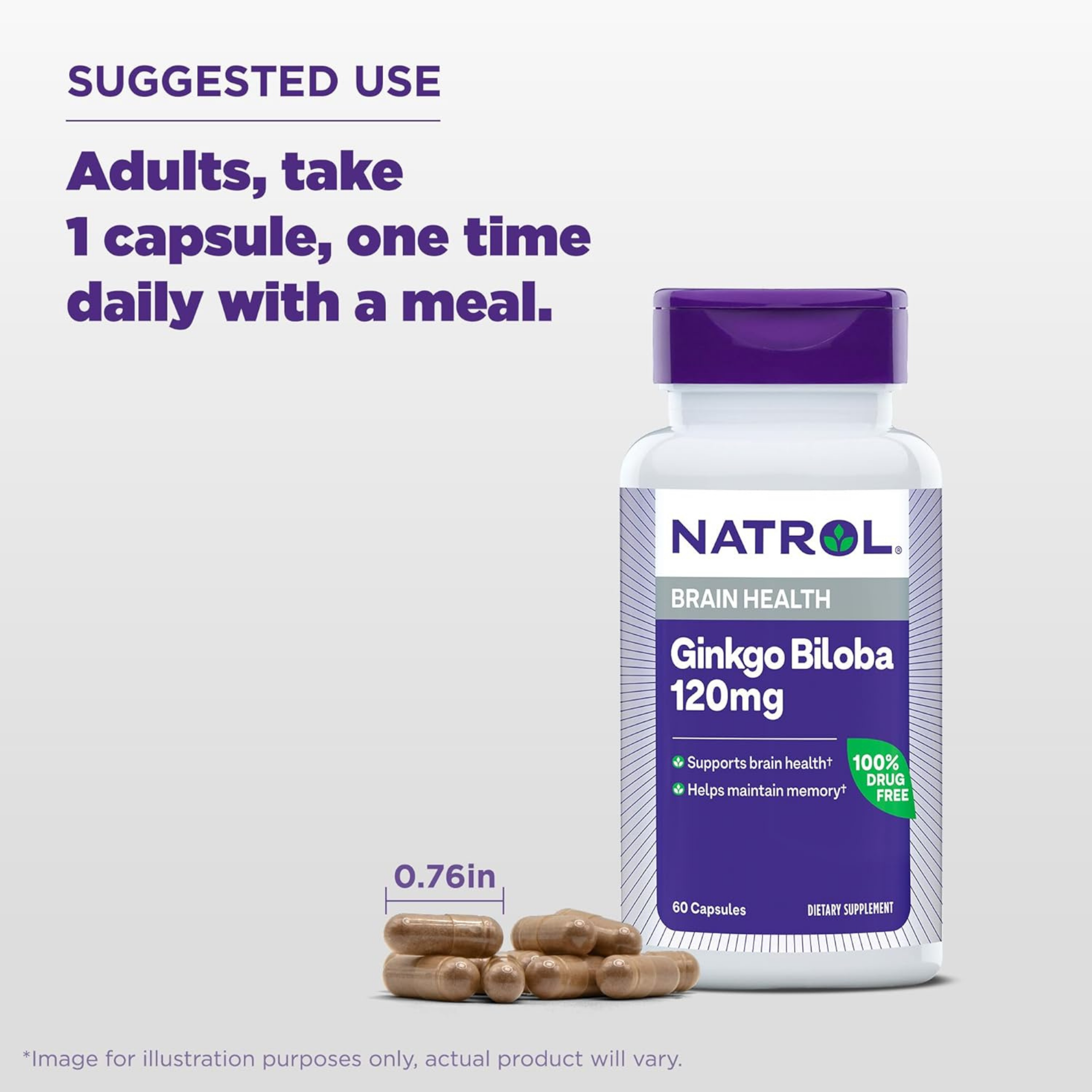Natrol, Brain Health, Ginkgo Biloba, 120mg,  60 Capsules