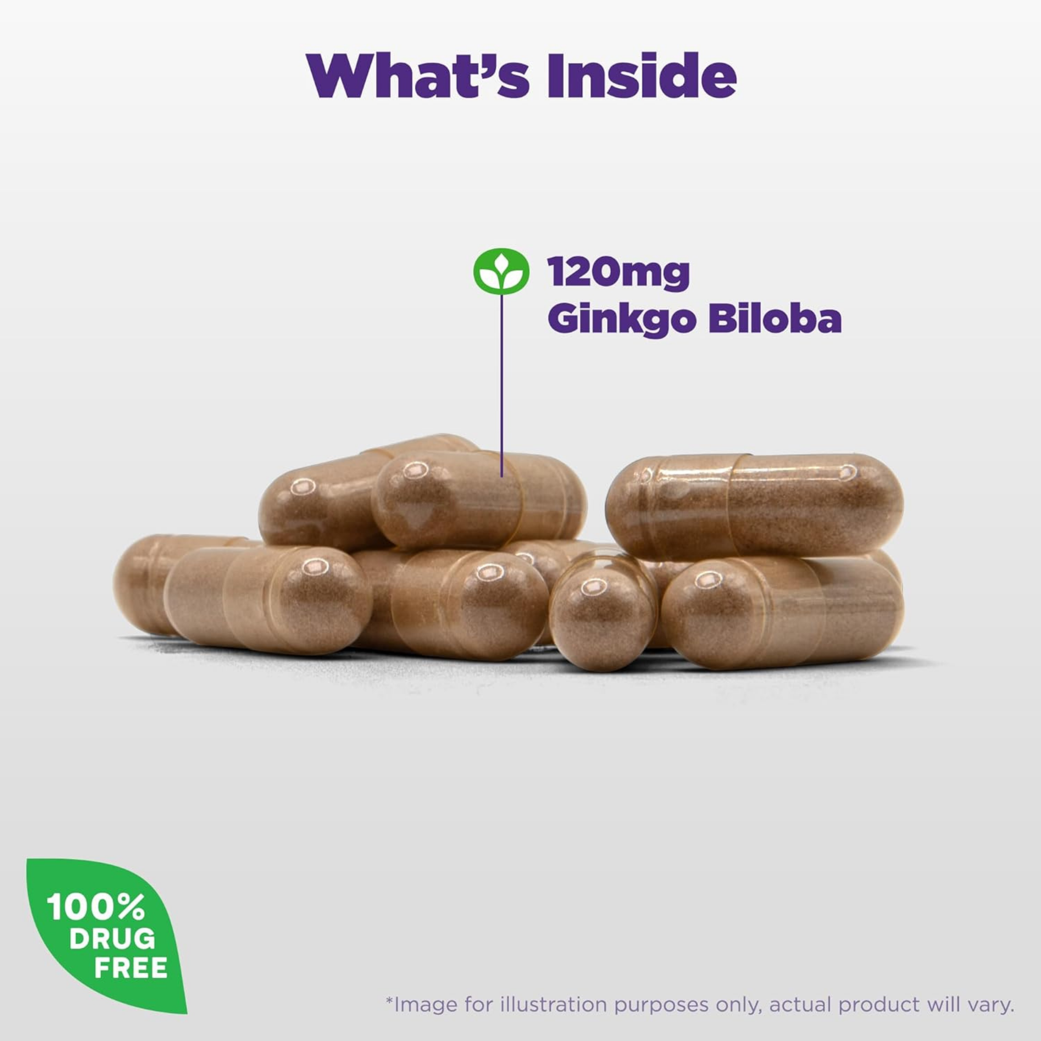 Natrol, Brain Health, Ginkgo Biloba, 120mg,  60 Capsules