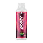 Raspberry Limeade