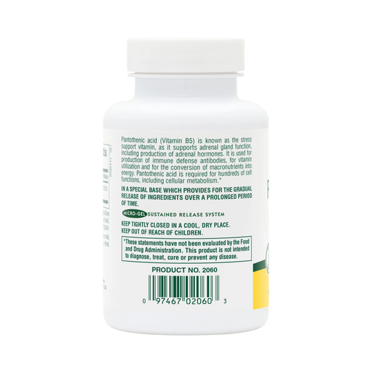 NaturesPlus, Pantothenic Acid, 1,000 Mg, 60 Tablets