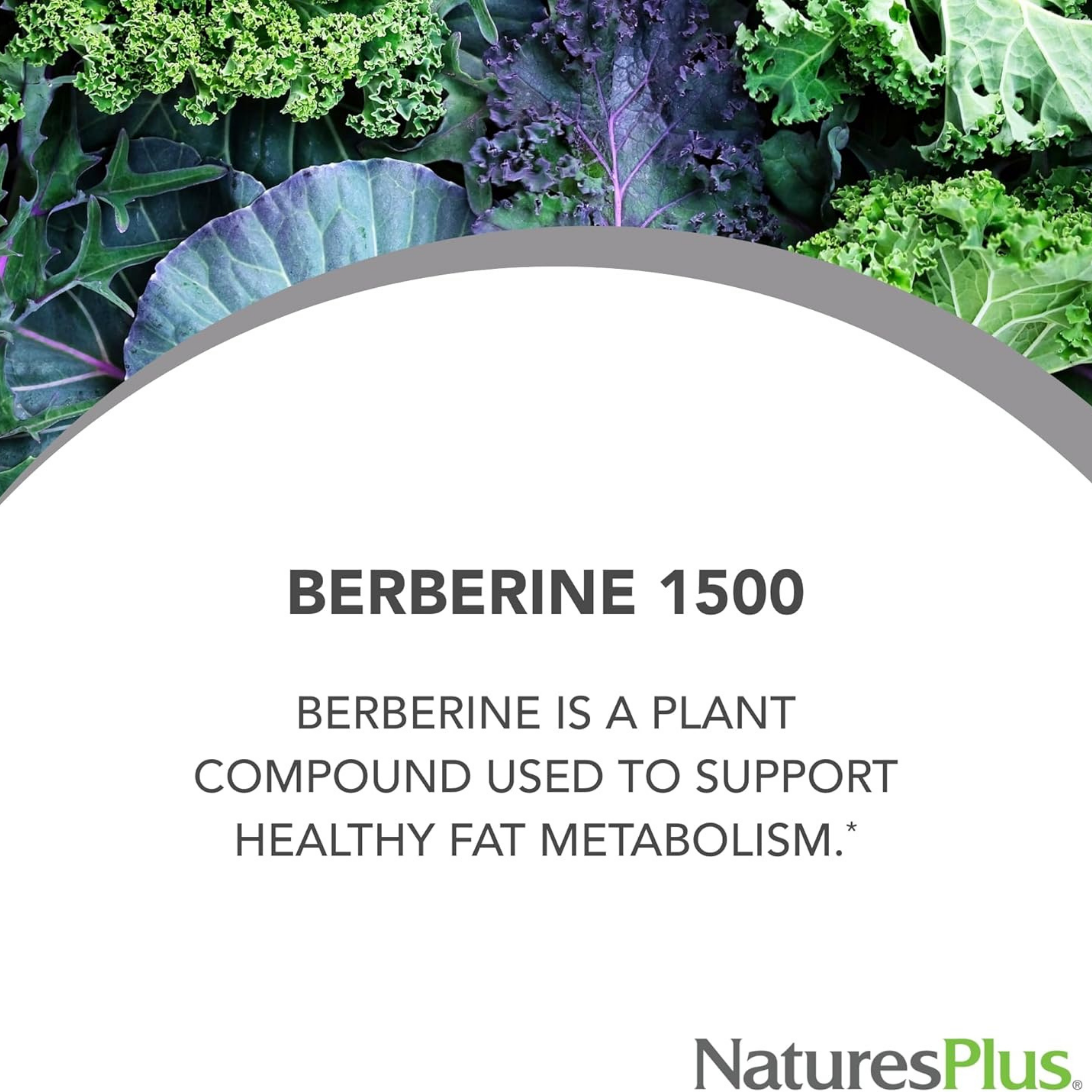 NaturesPlus, PRO Berberine, 1500 Mg, 60 Tablets