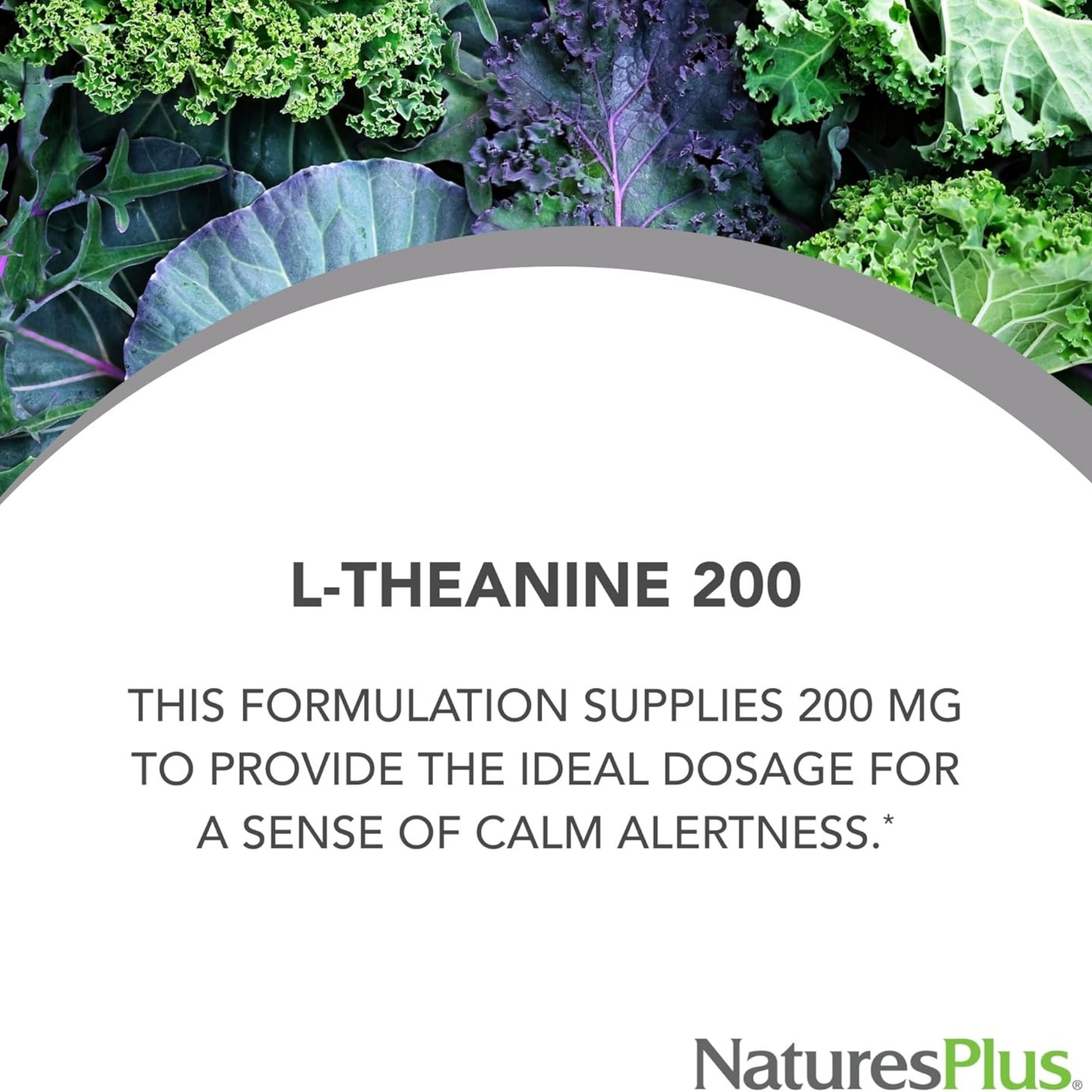 NaturesPlus, Pro L-Theanine 200, 60 Capsules