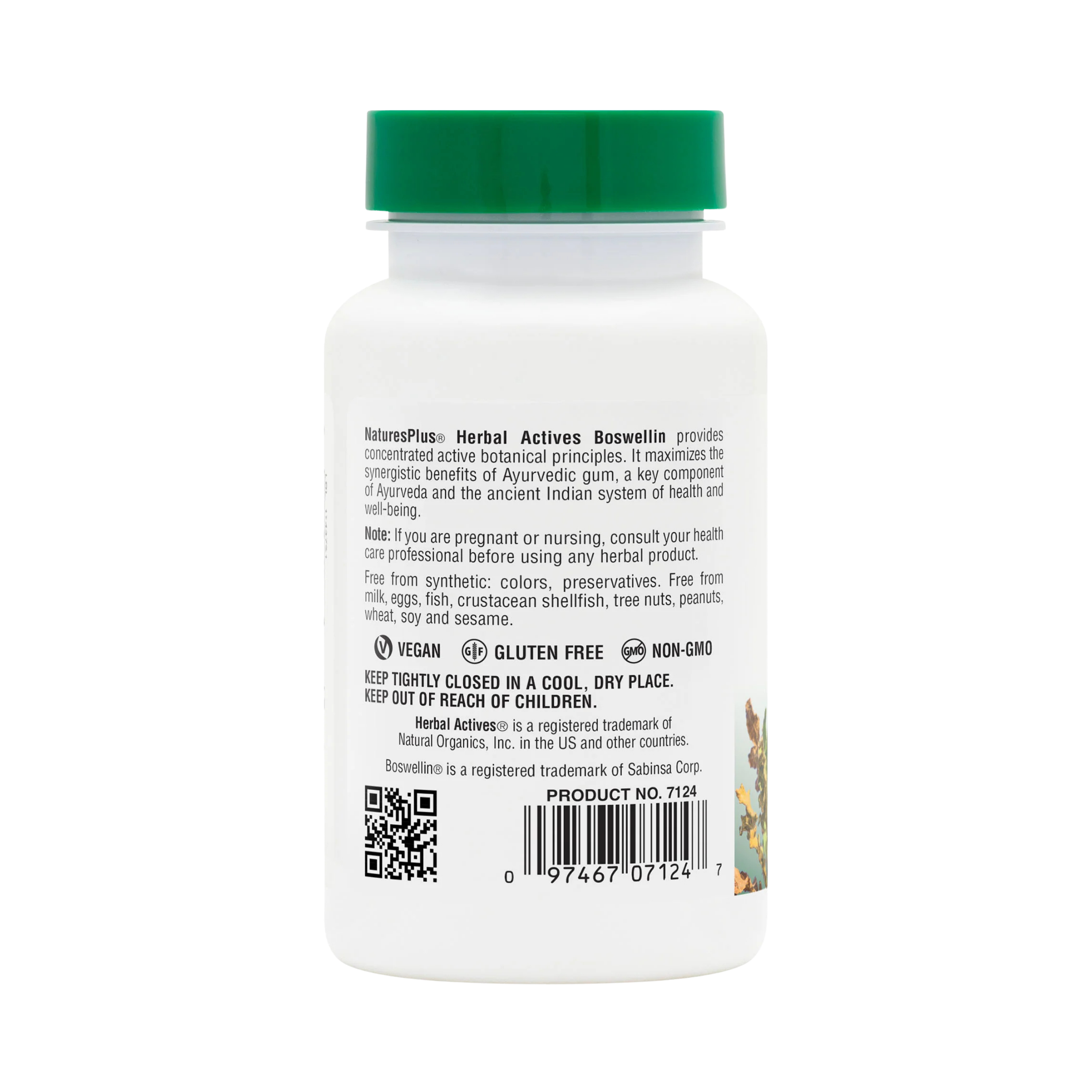NaturesPlus, Herbal Actives, Boswellin, 300 Mg, 60 Capsules