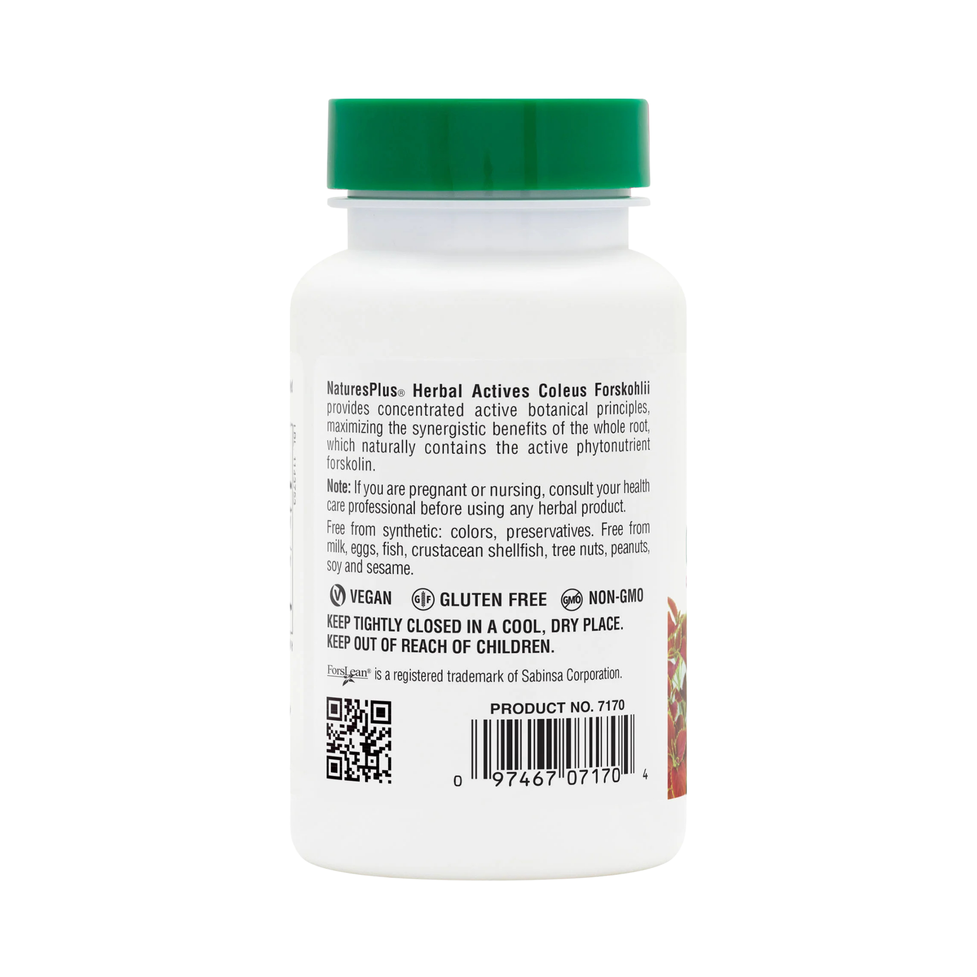 NaturesPlus, Herbal Actives Coleus Forskohlii, 60 Vegetarian Capsules