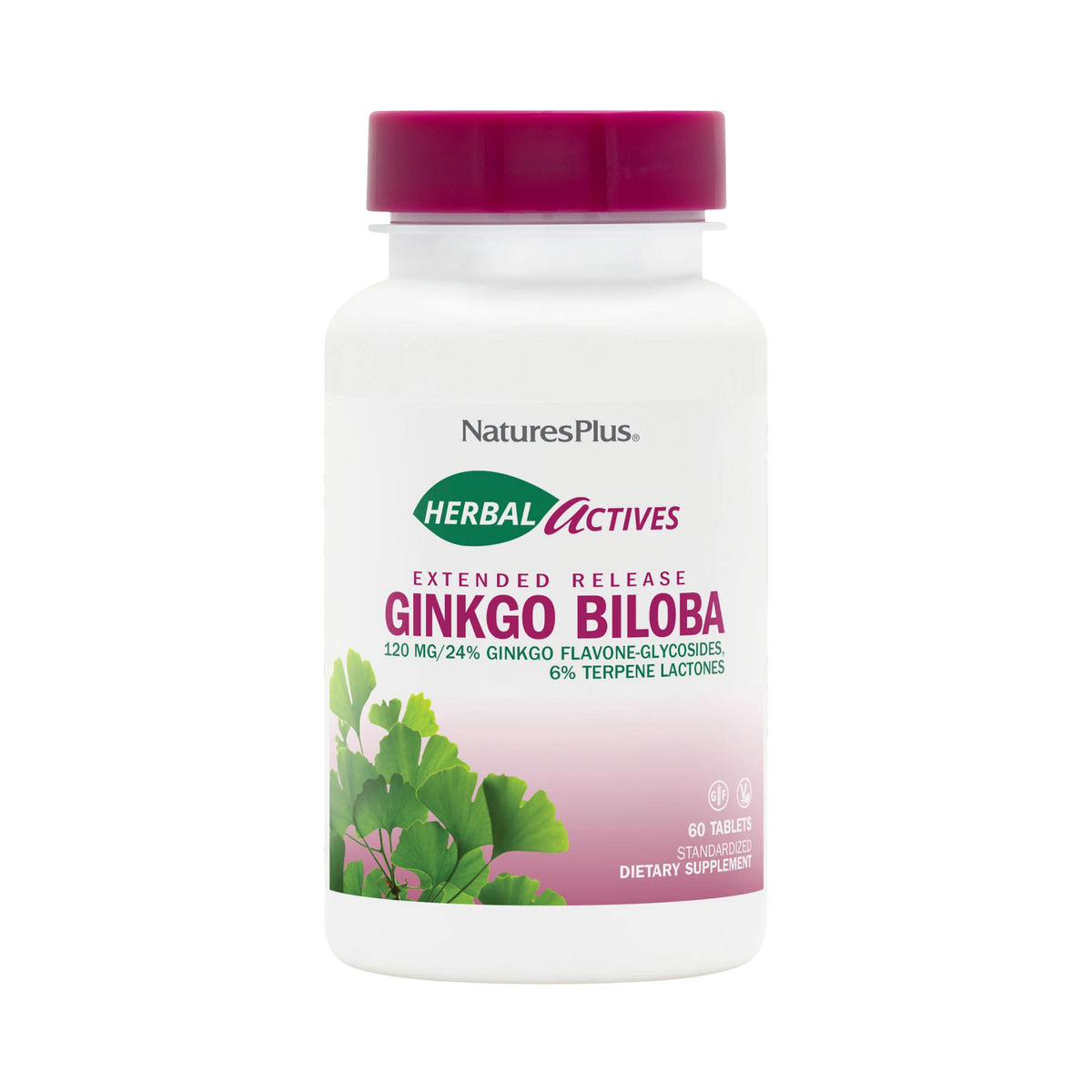 NaturesPlus, Herbal Actives Ginkgo Biloba, Extended Release, 120 Mg, 60 Vegan Tablets