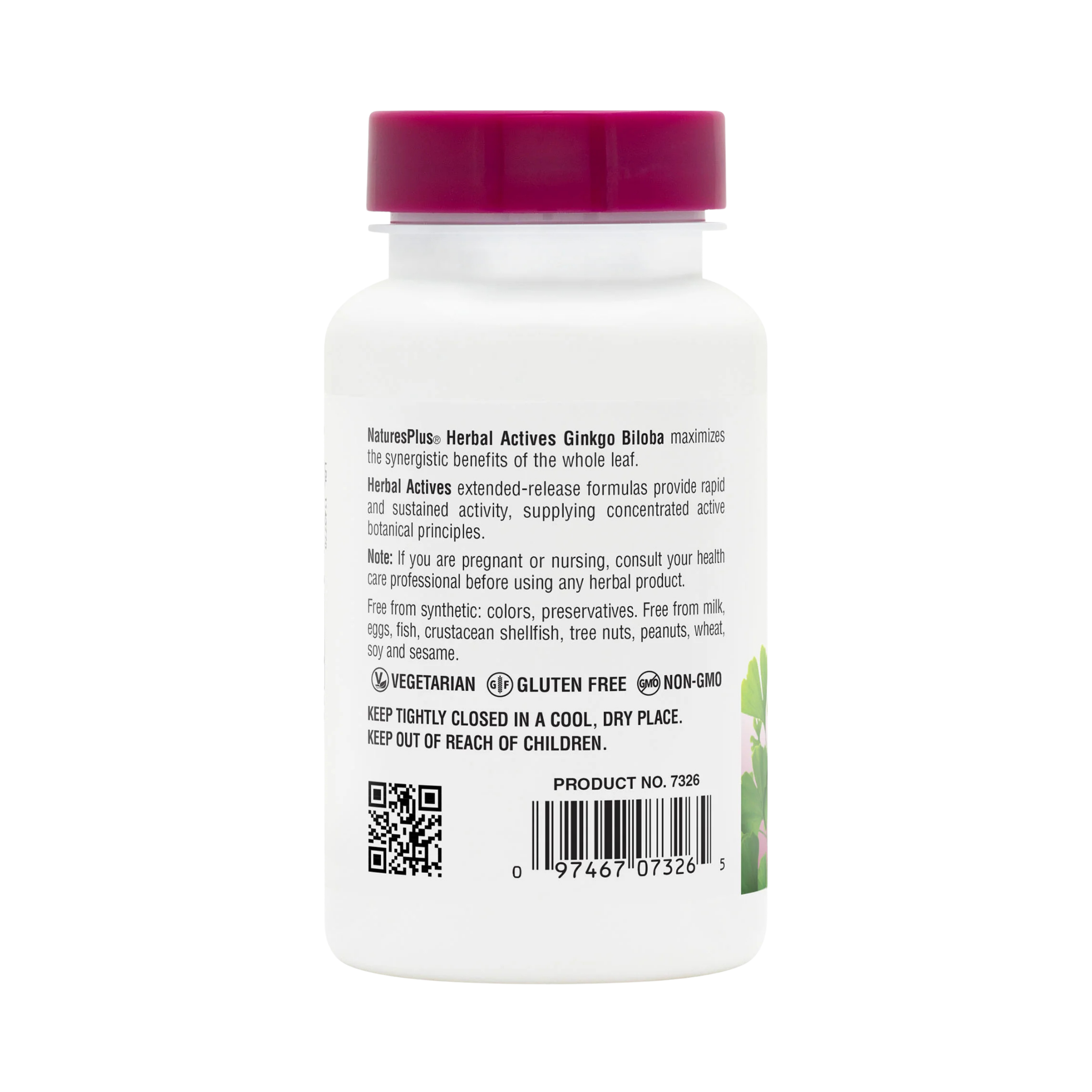 NaturesPlus, Herbal Actives Ginkgo Biloba, Extended Release, 120 Mg, 60 Vegan Tablets