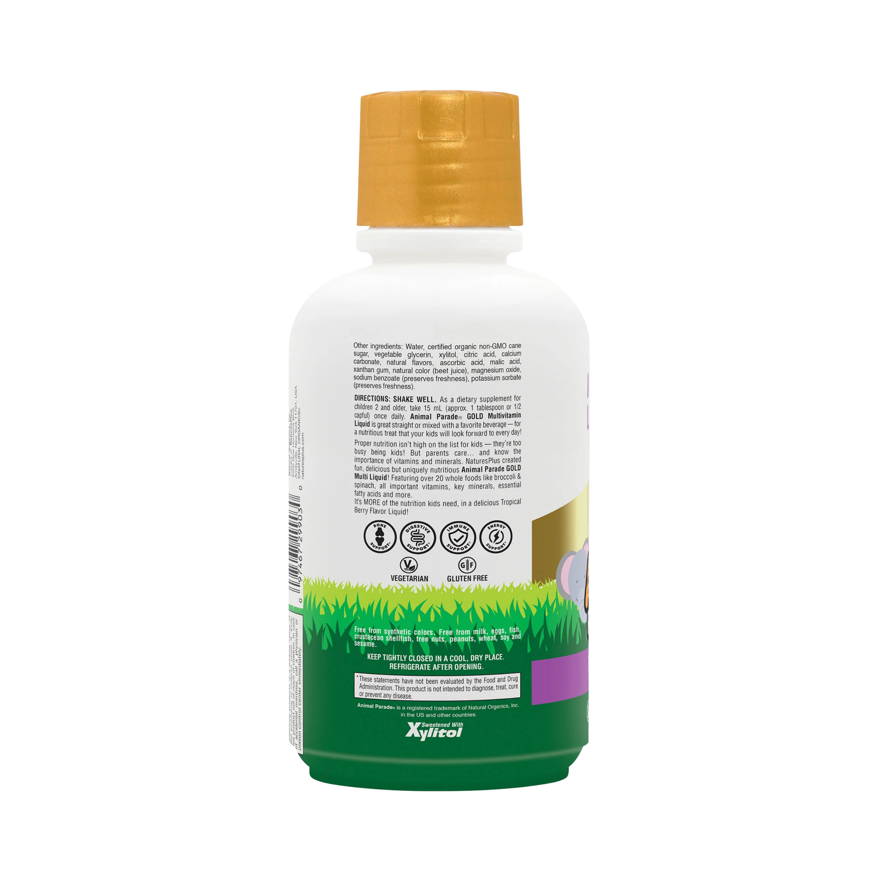 NaturesPlus, Children's Animal Parade Gold Multivitamin Liquid, Tropical Berry, 16 Fl Oz