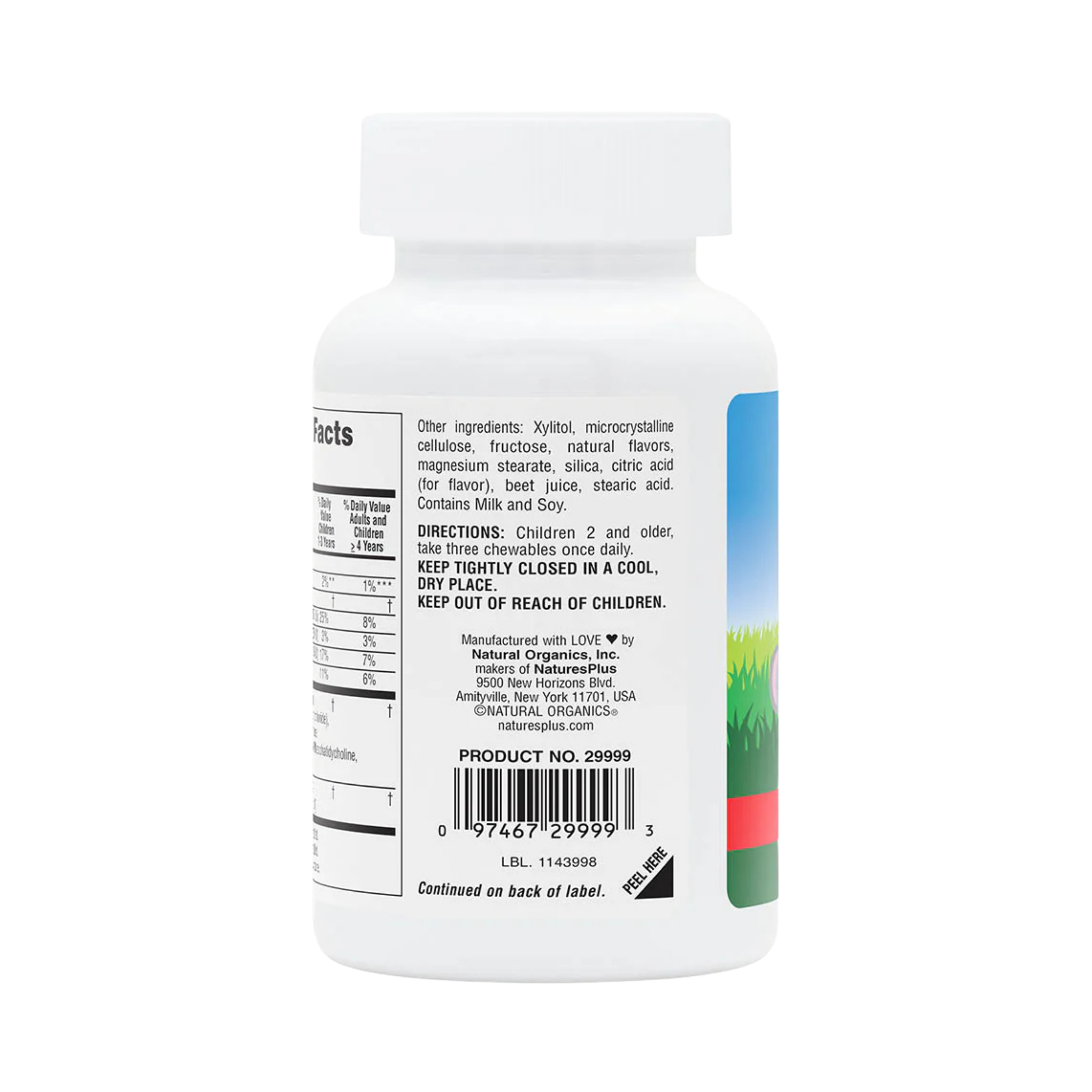 NaturesPlus, Animal Parade, DHA Kids, Children's Chewable Omega-3 Supplement, Cherry, 90 Animal-Shaped Tablets