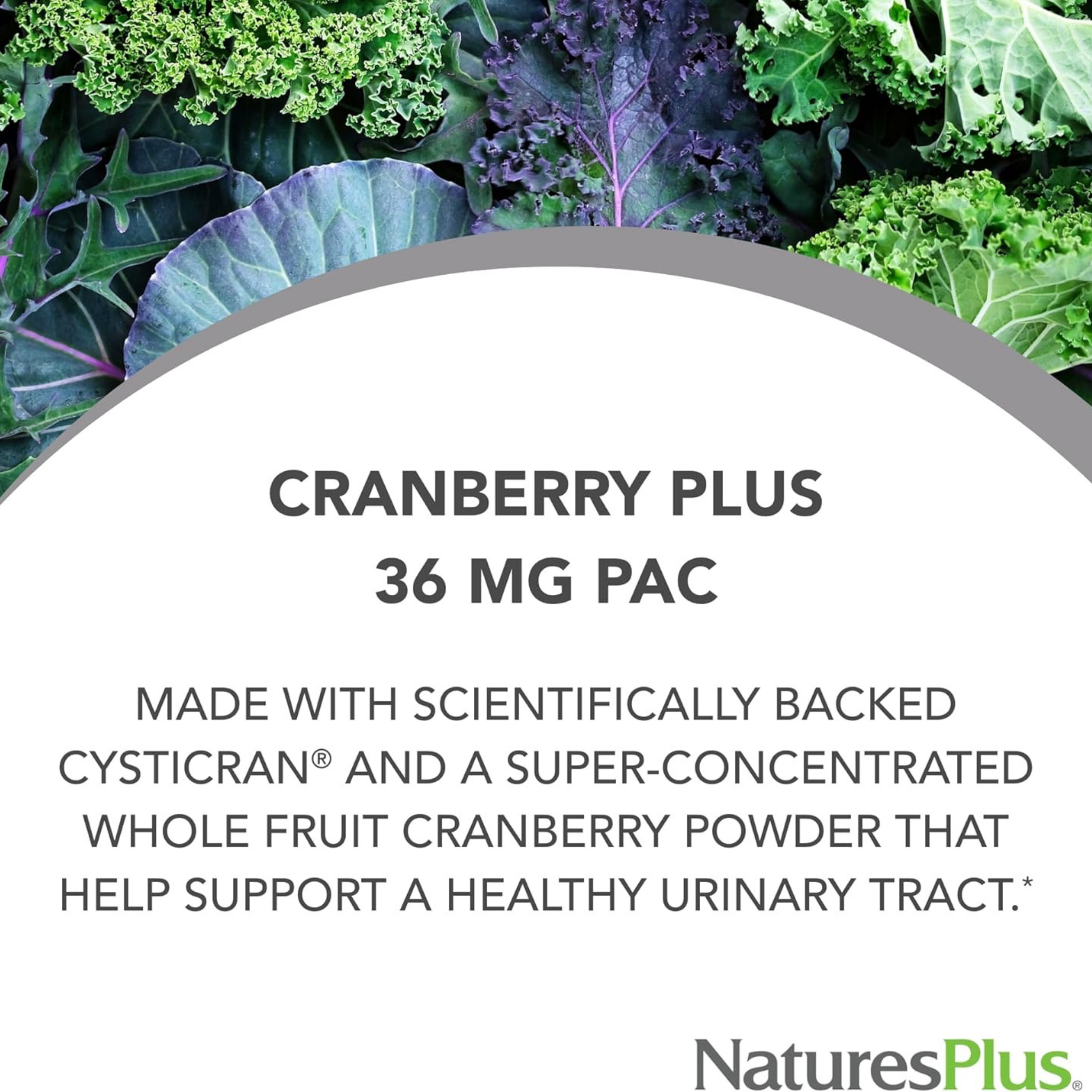 NaturesPlus, PRO Cranberry Plus, 60 Capsules