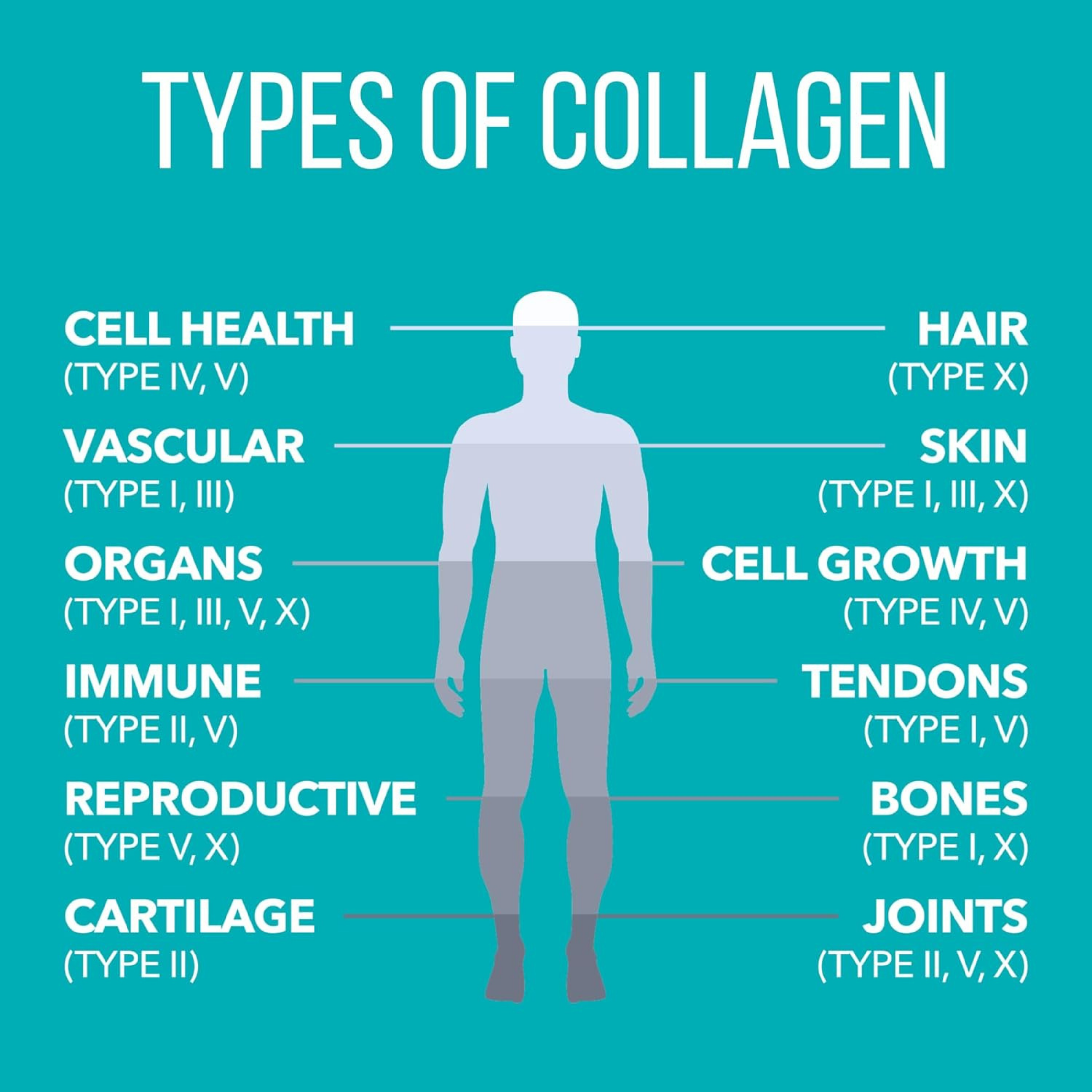 NaturesPlus, Collagen Peptides, 20 Stick Packets, 0.37 Oz