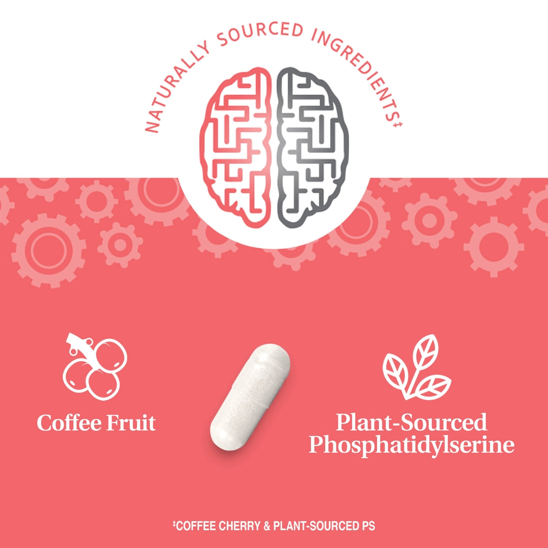 21st Century, Brilliant Brain Performance, 30 Capsules