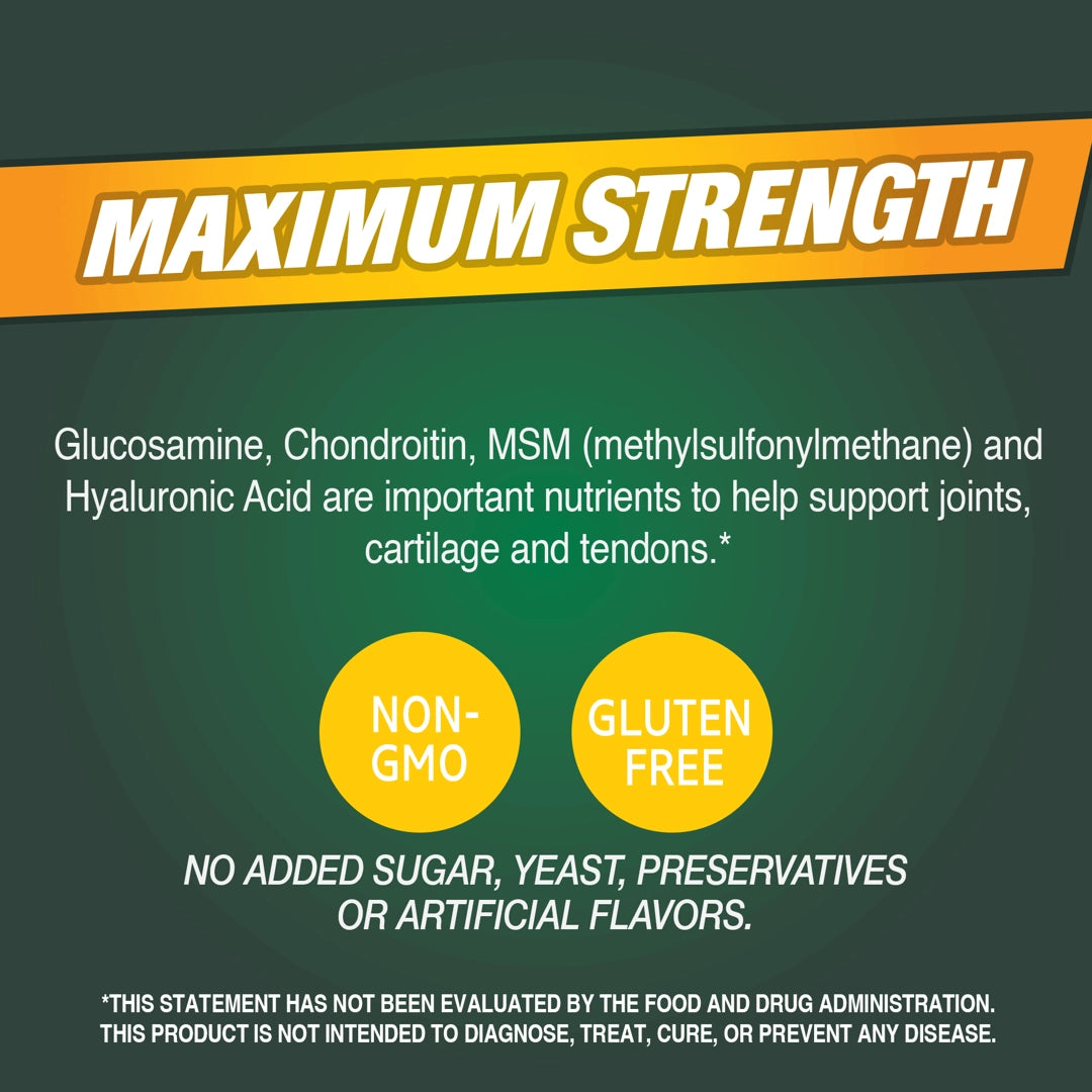 21st Century, Glucosamine & Chondroitin Plus Hyaluronic Acid + MSM, 120 Tablets