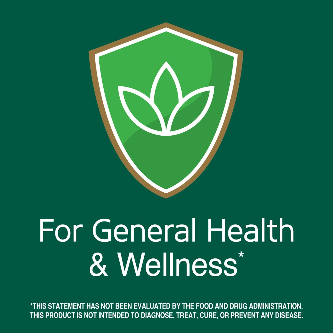21st Century, Lion's Mane, 2,100 mg, 60 Vegetarian Capsules