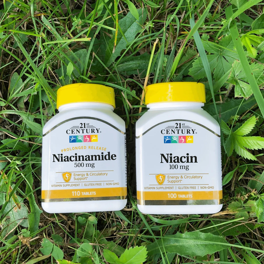 21st Century, Niacinamide, Prolonged Release , 110 Tablets