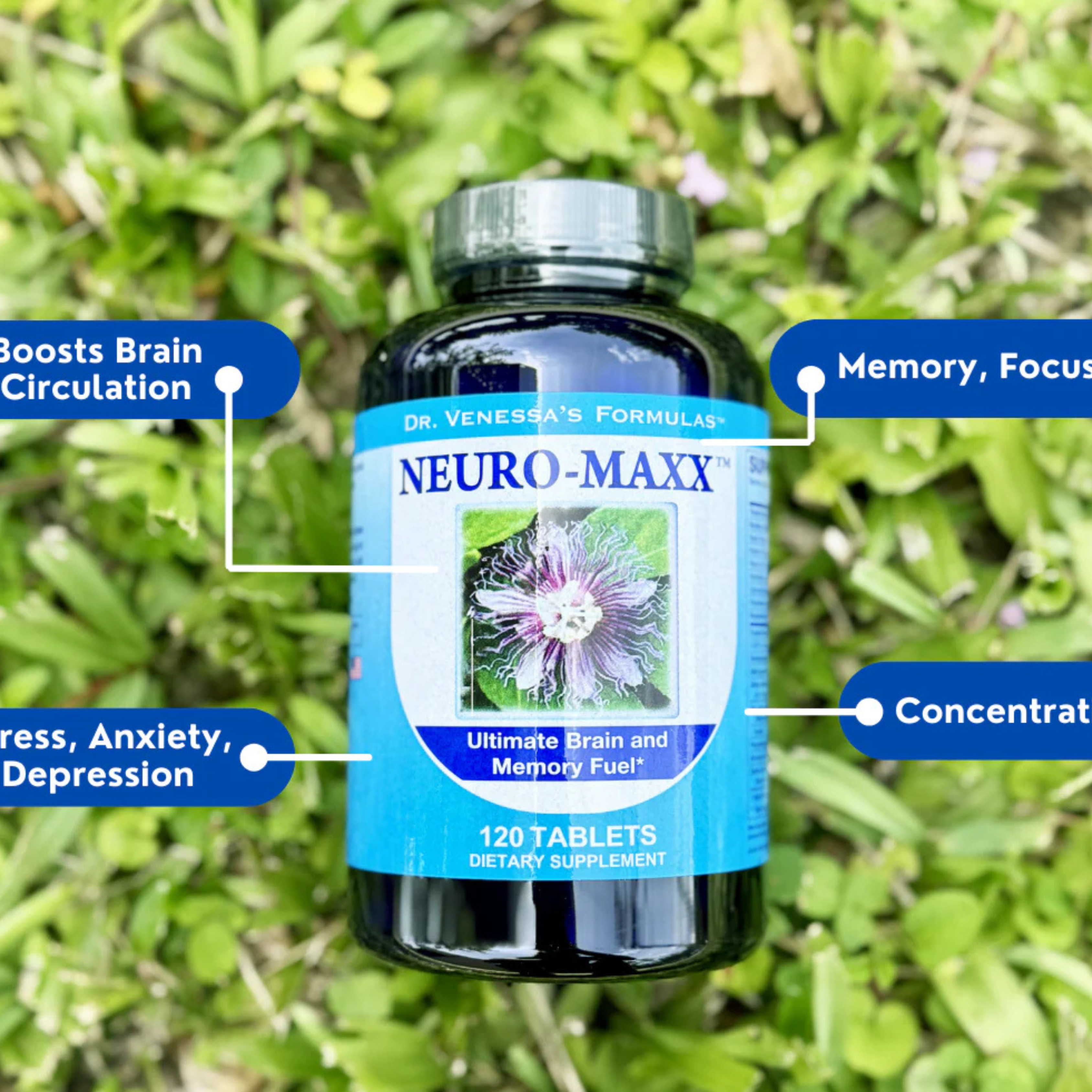 Dr. Venessa's Formulas, Neuro-Maxx, 120 Tablets