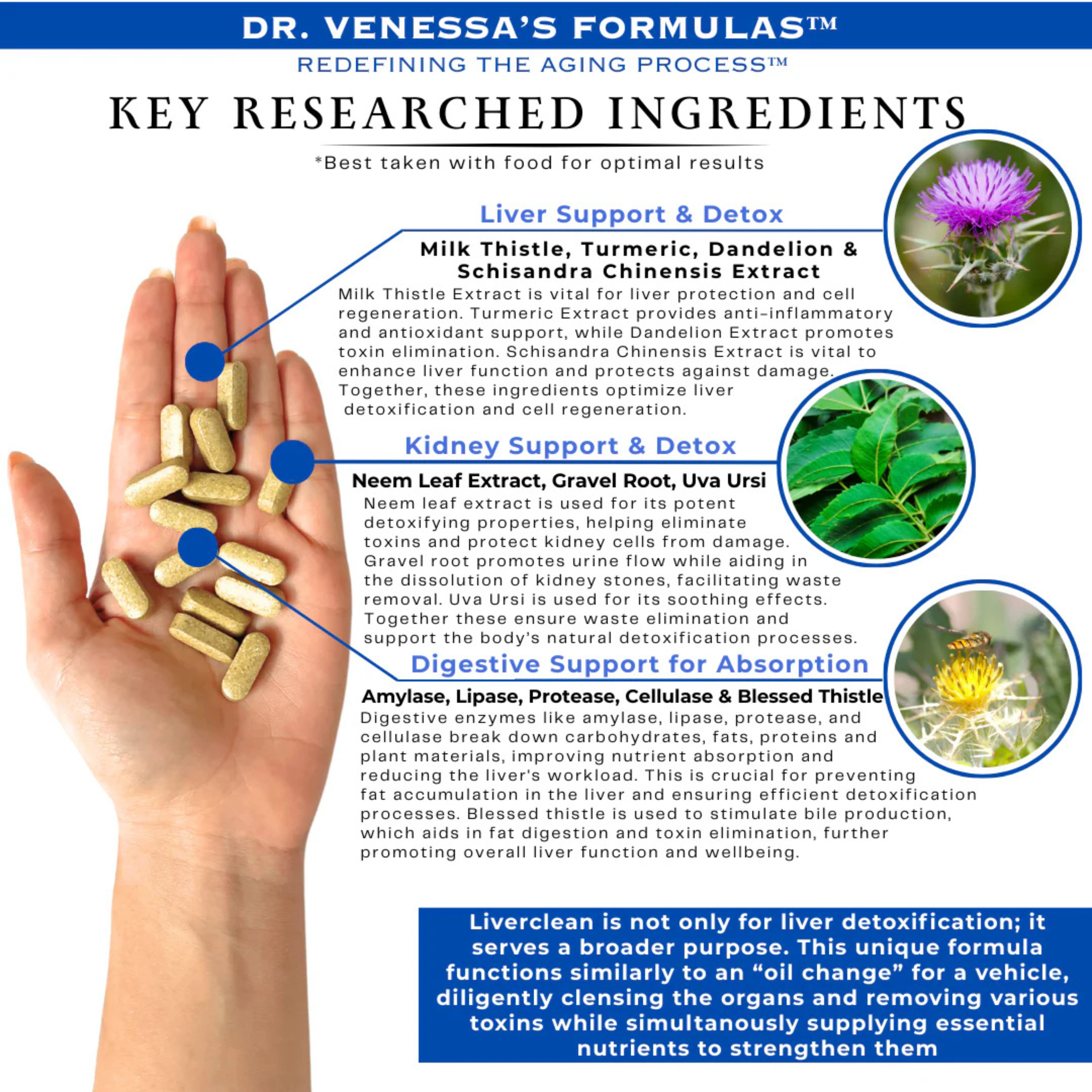 Dr. Venessa's Formulas, Liverclean, 100 Tablets