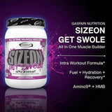 Gaspari Nutrition, SizeOn®, Intra Workout, Grape Cooler, 3.59 lbs (1.63 kg)