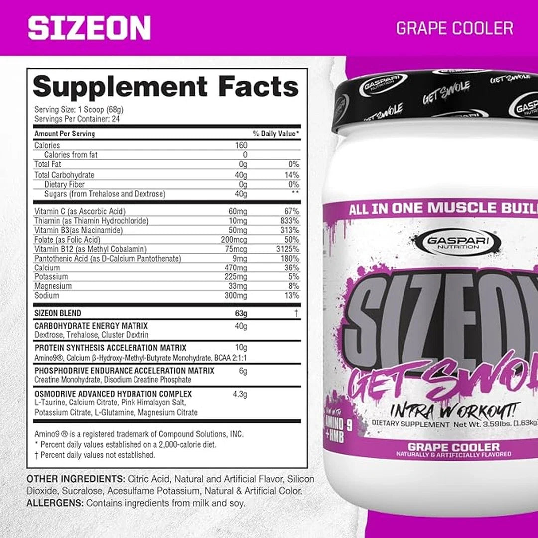Gaspari Nutrition, SizeOn®, Intra Workout, Grape Cooler, 3.59 lbs (1.63 kg)