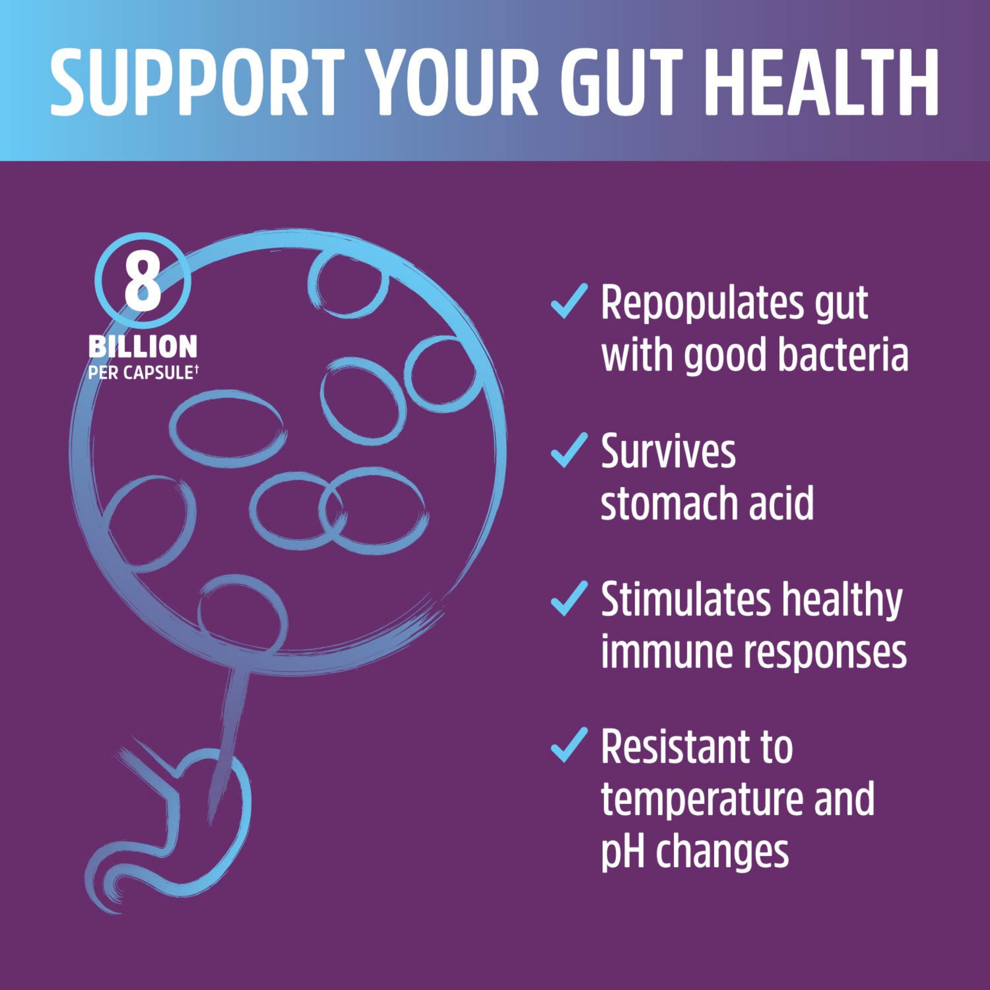 Zhou, S. Boulardii, Saccharomyces Boulardii, Gastrointestinal  Probiotic,  60 Veggie Capsules