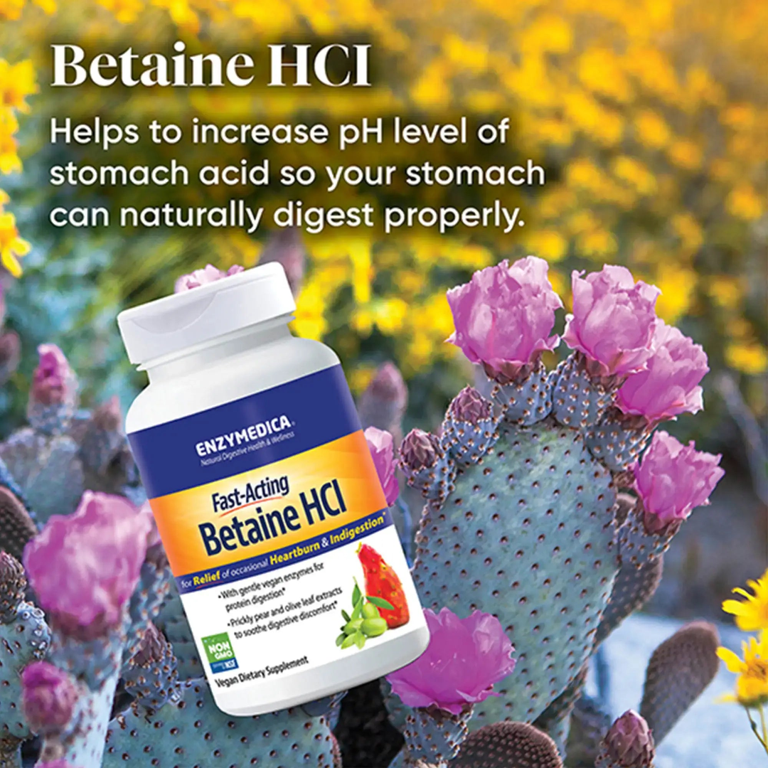 Enzymedica, Fast-Acting Betaine HCl, 60 Capsules