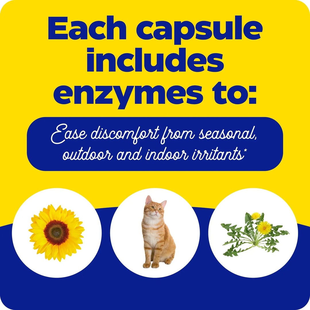 Enzymedica, Allerase®, 60 Capsules