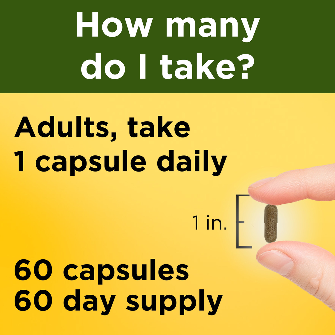 031604030476c