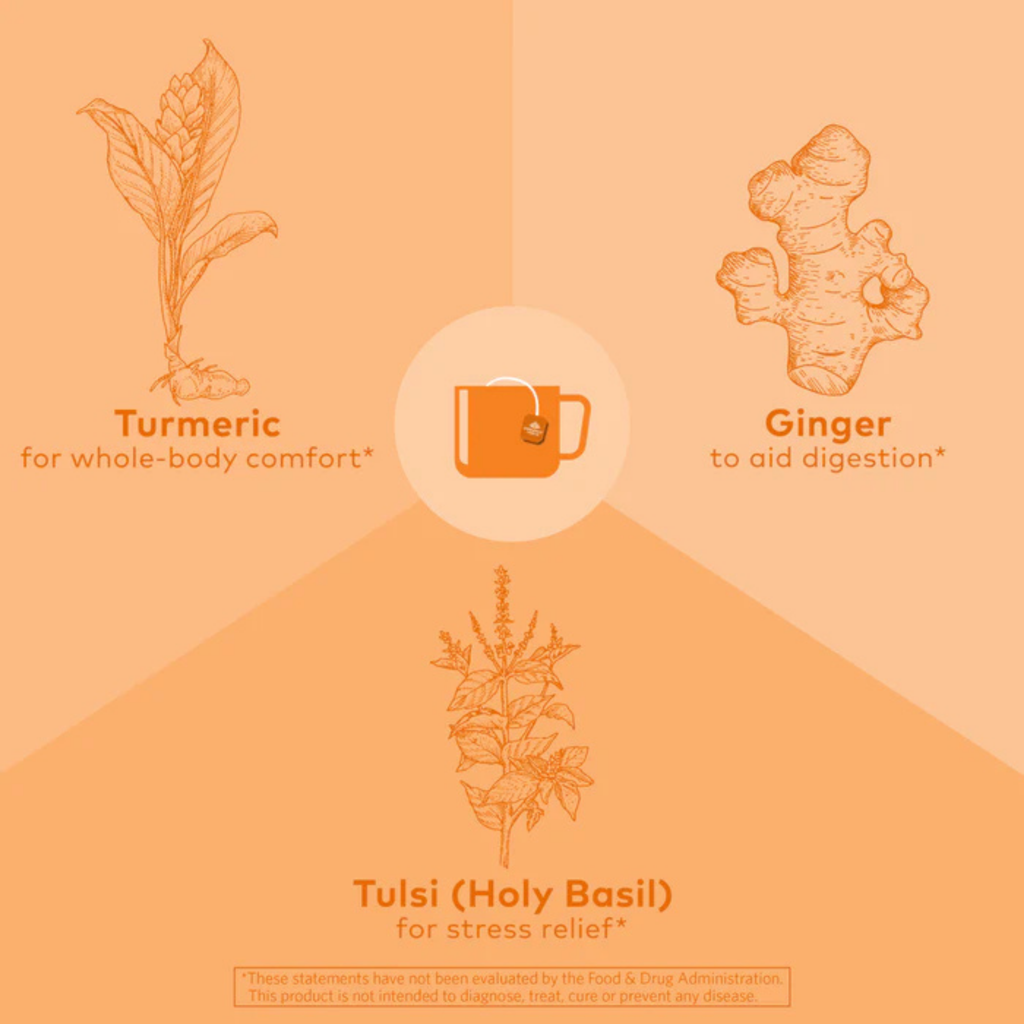 Organic India, Tulsi Tea, Turmeric Ginger, Caffeine-Free, 18 Infusion Bags, 1.2 Oz