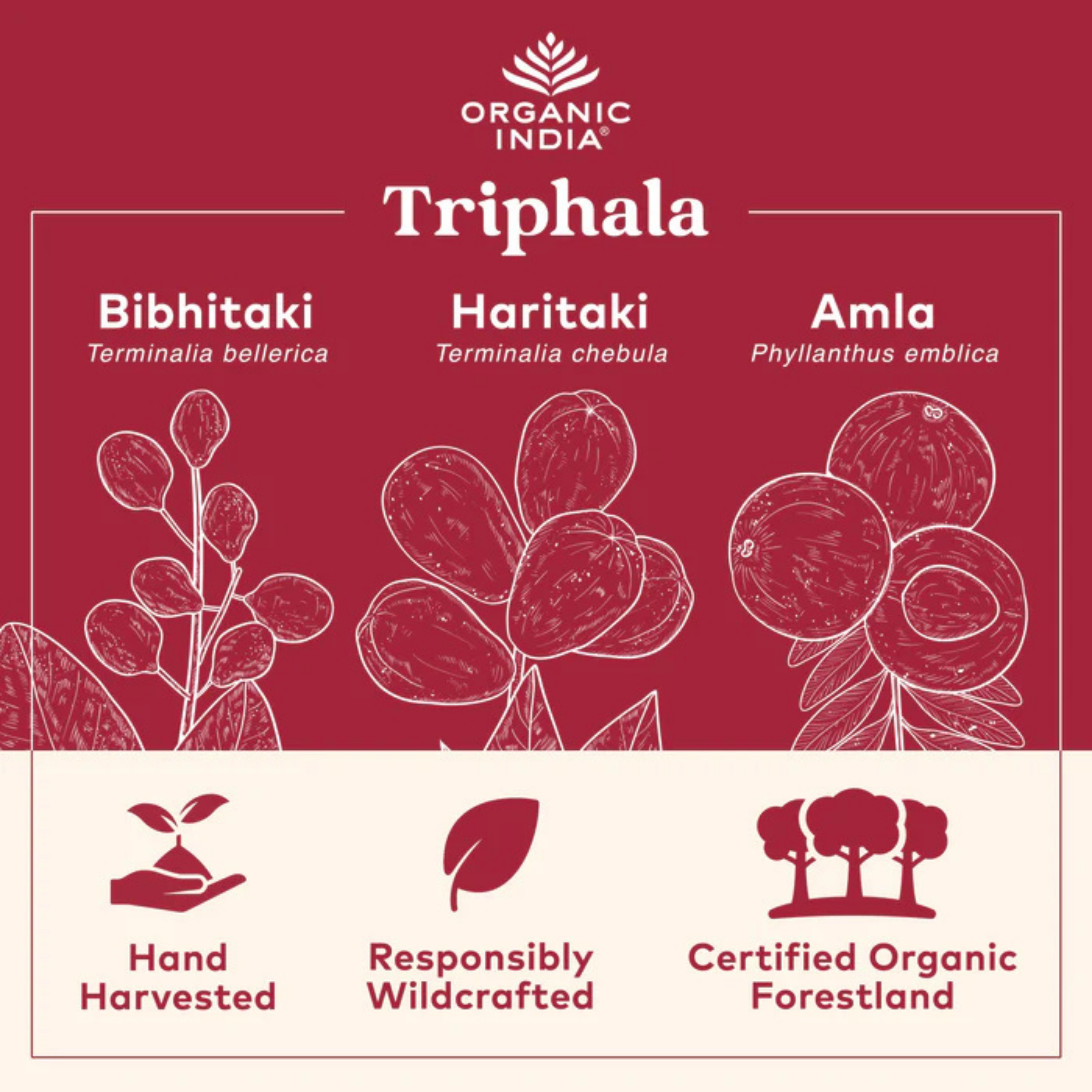Organic India, Triphala, 180 Vegetarian Caps