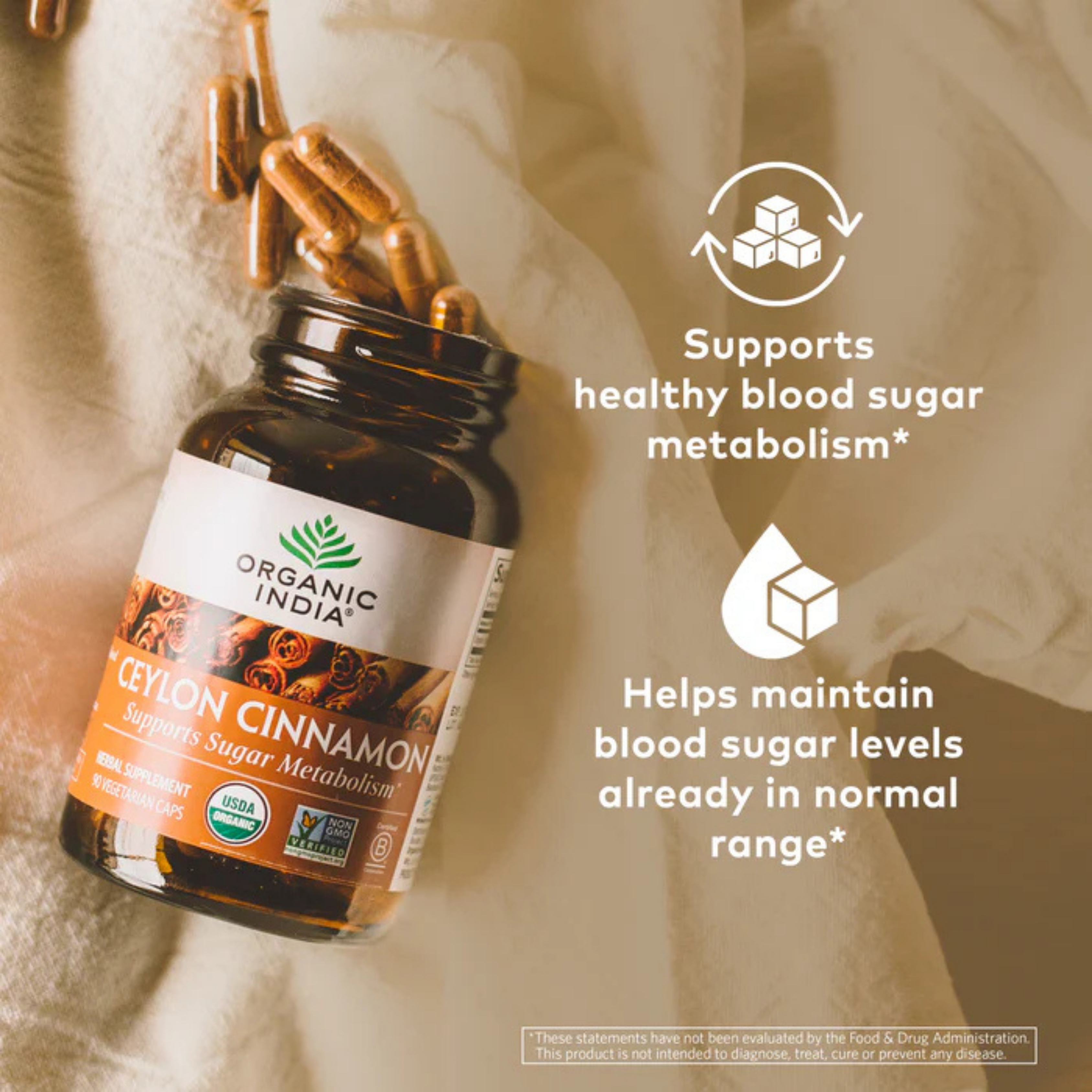 Organic India, Ceylon Cinnamon, 650 Mg, 90 Vegetarian Caps
