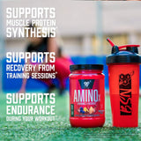 BSN, AminoX®, Endurance & Recovery, Fruit Punch, 2.24 lb (1.02 kg)