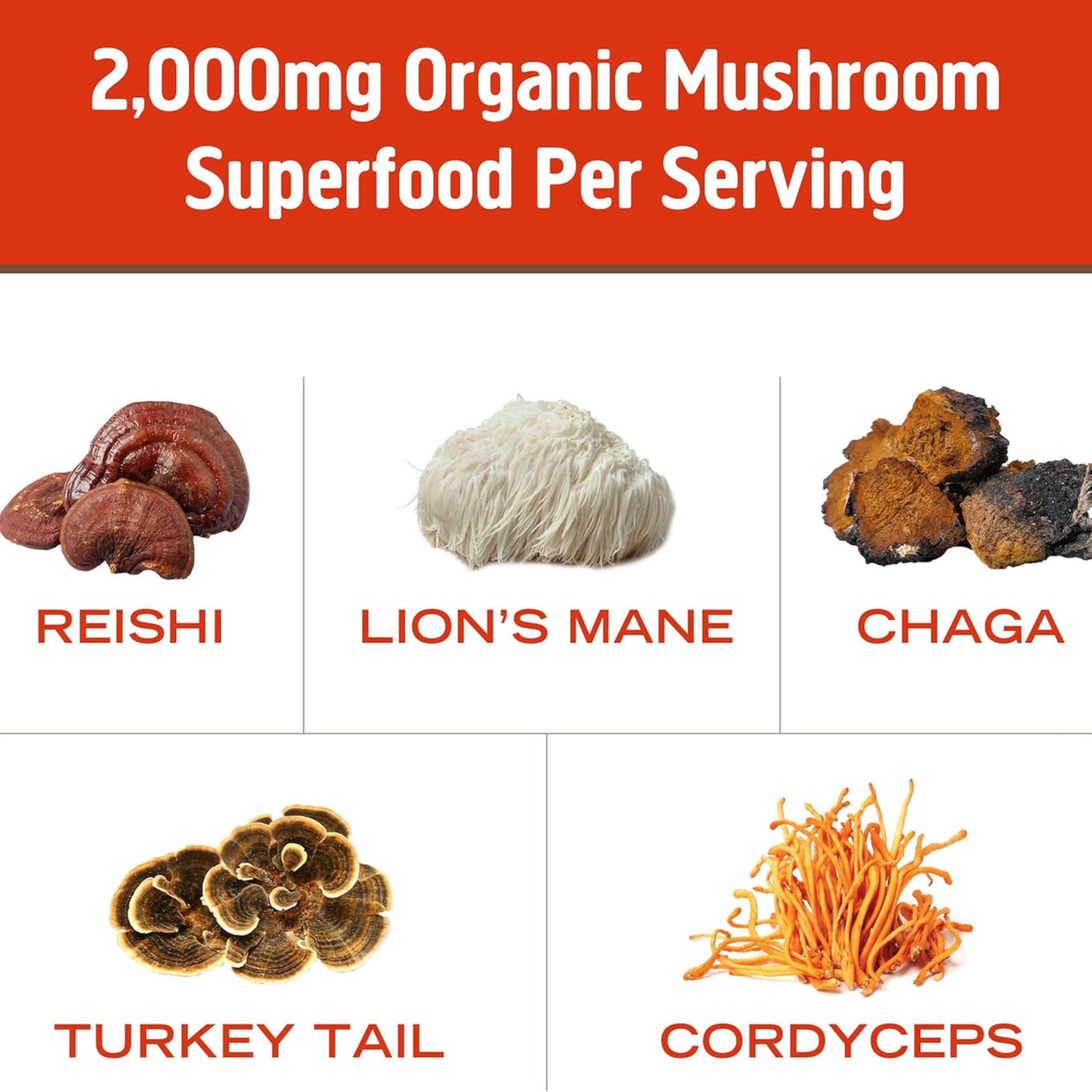 Om Mushrooms, Mushroom Morning Blend, 10 Packets, 8 g Each