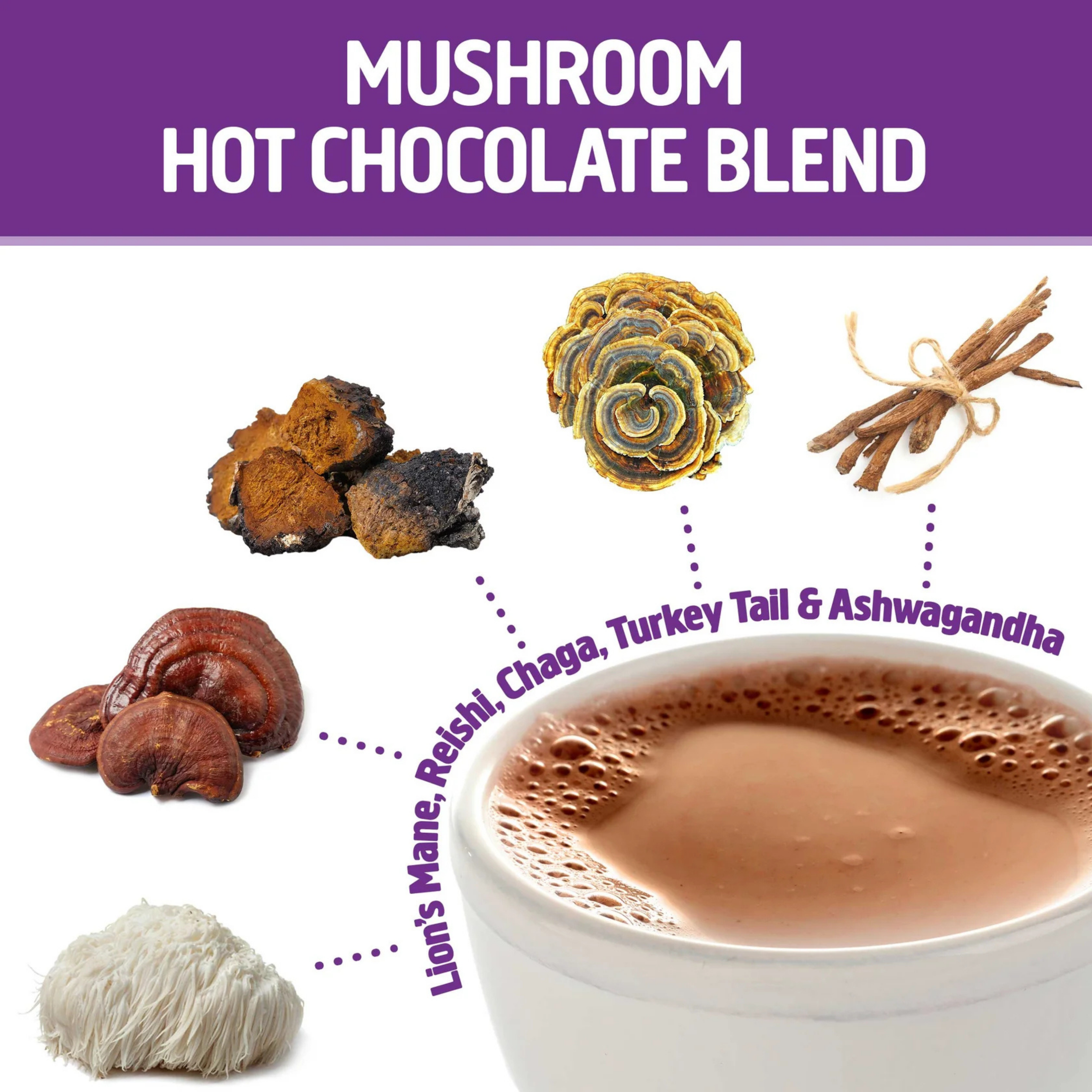 Om Mushrooms, Superfood Mushroom Blend, Hot Chocolate, 8.47 oz, 240 g