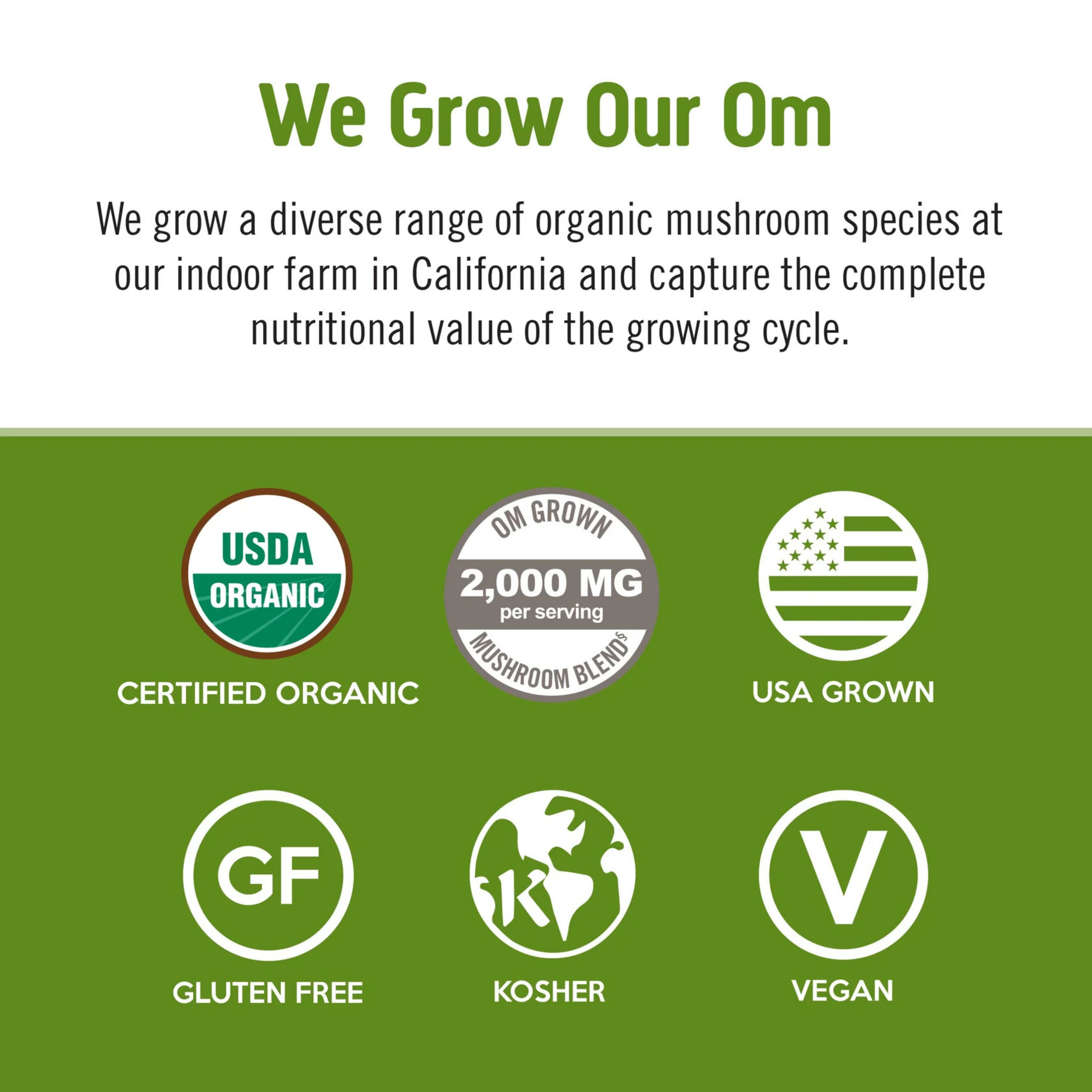 Om Mushrooms, Superfood Mushroom Blend, Matcha Latte , 8.47 oz, 240 g