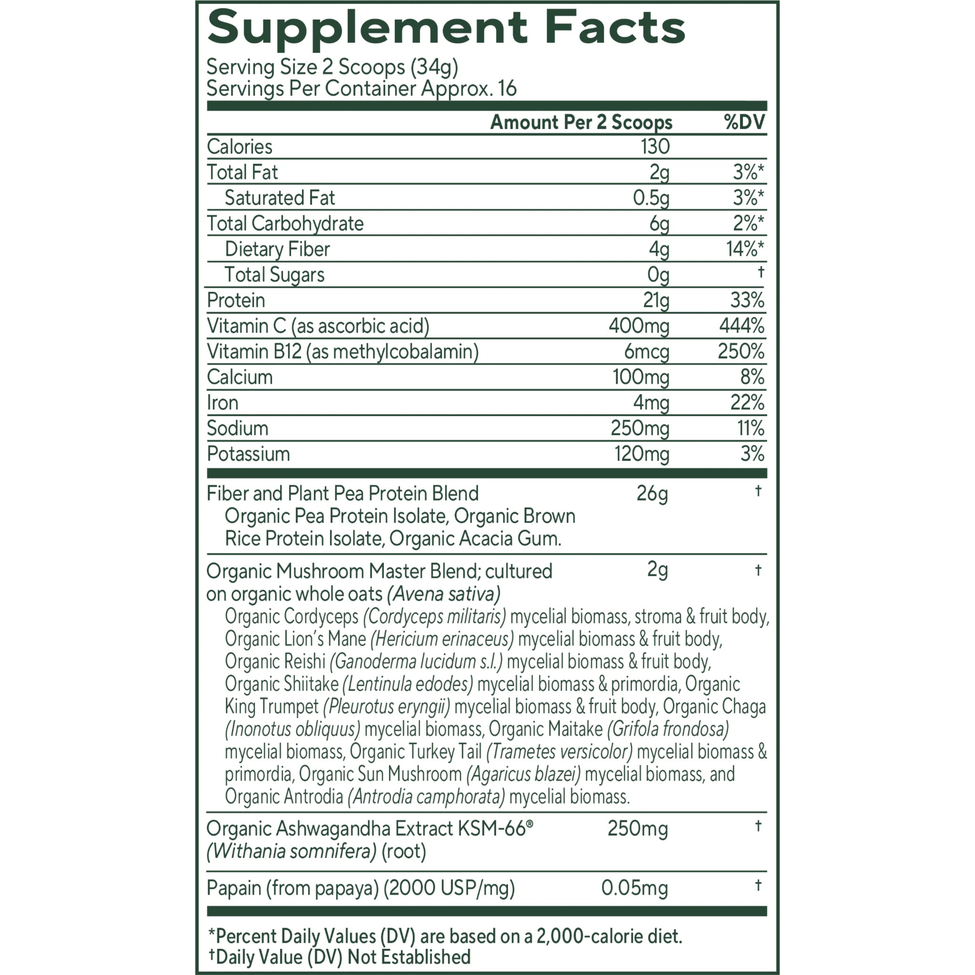 Om Mushrooms, Master Blend, Plant Protein, Creamy Chocolate, 1.2 lb, 546 g