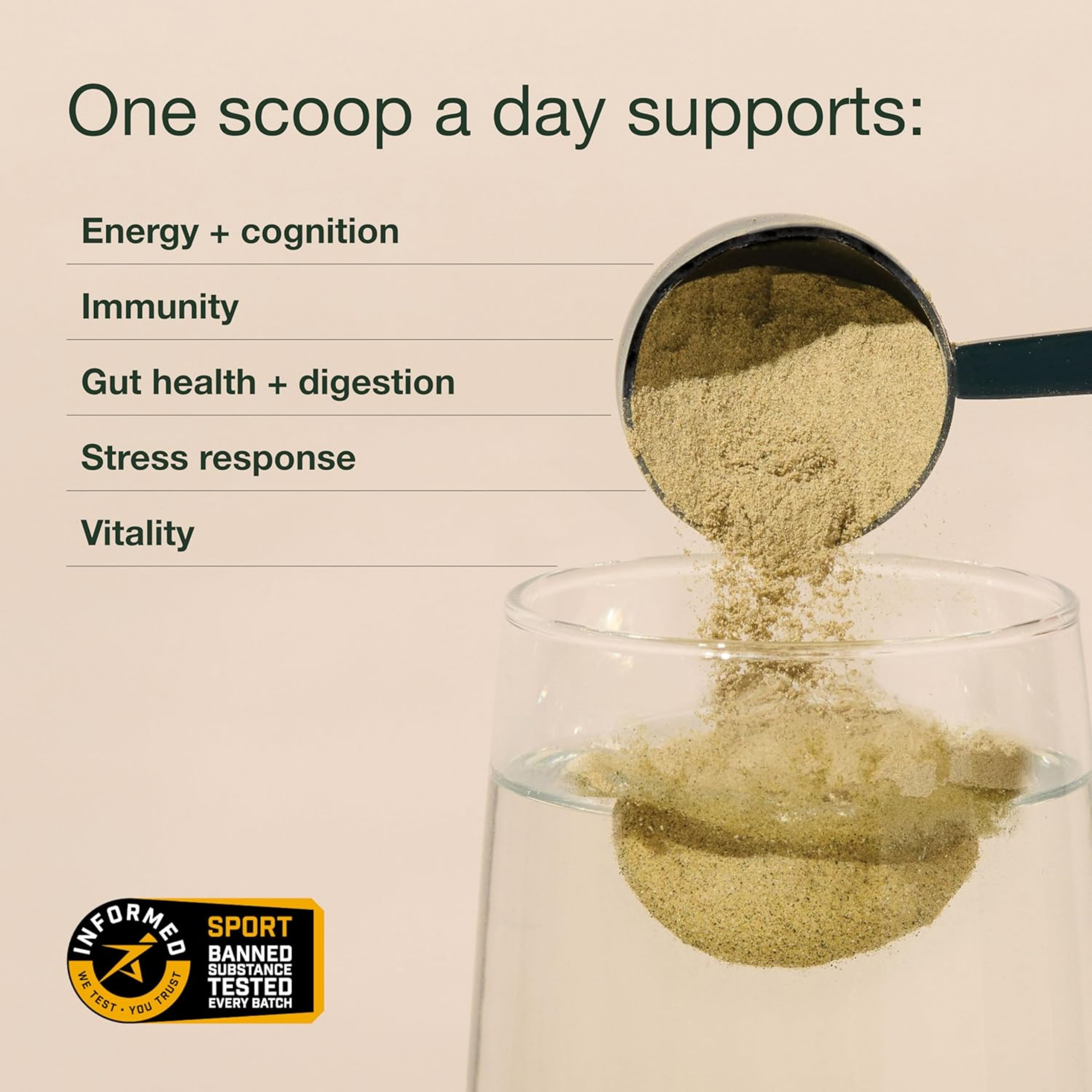 Nuzest, Greens Powder Good Green Vitality, Vegan Multivitamin Supplement, 300 Gm