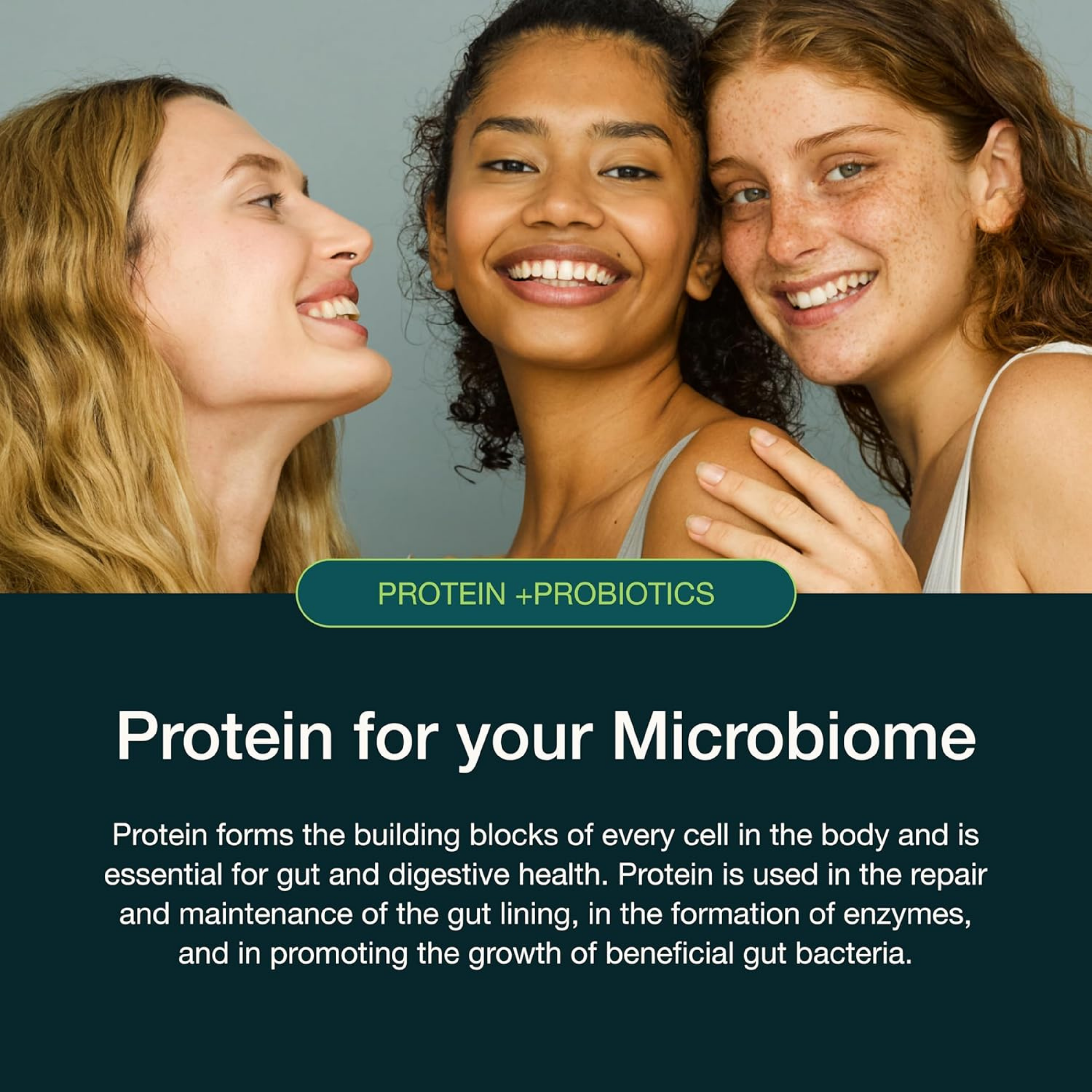 Nuzest, Protein + Probiotics, French Vanilla, 10.6 Oz