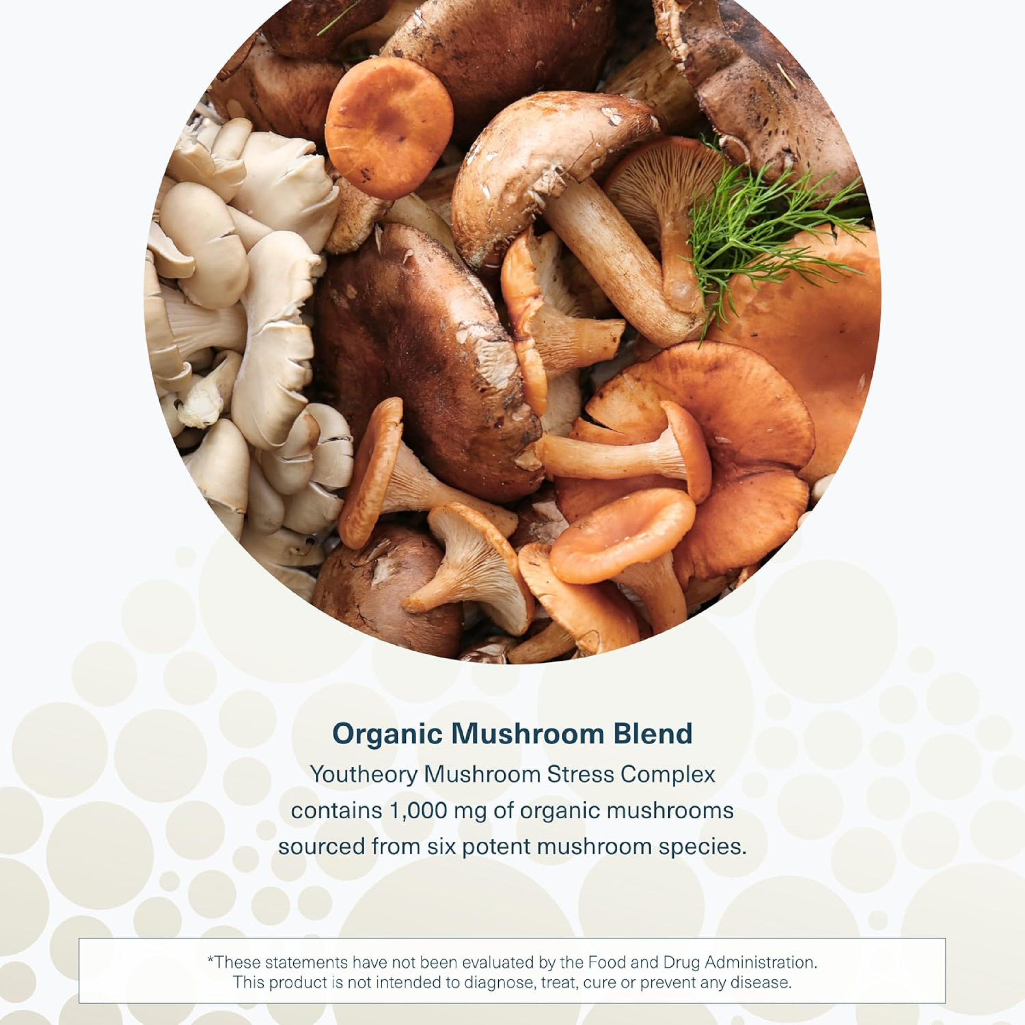 Youtheory,  Mushroom Immune Complex, 60 Vegetarian Capsules