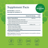 Youtheory, Spore Probiotic Advanced, 60 Vegetarian Capsules