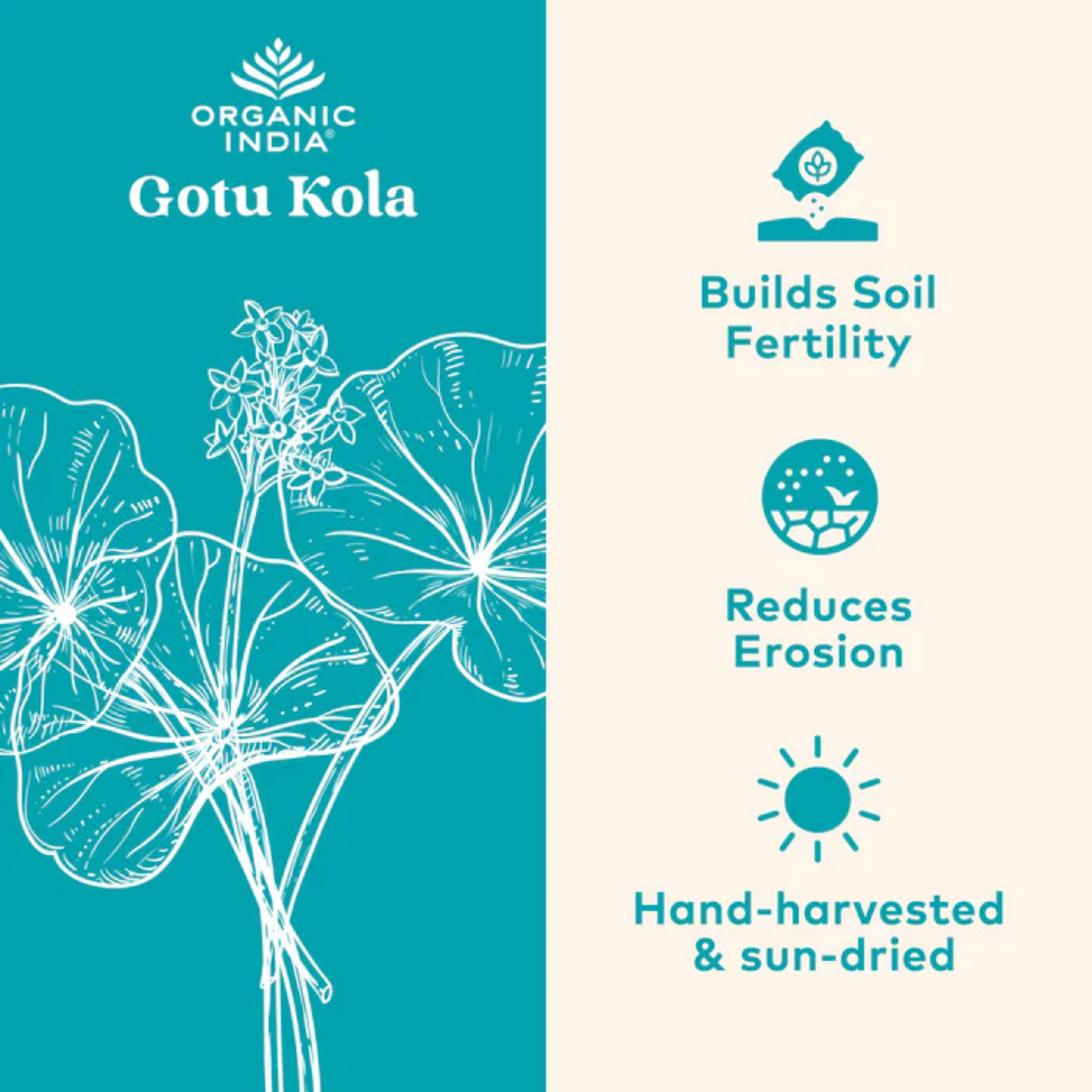 Organic India, Gotu Kola, 700 Mg, 90 Vegetarian Caps