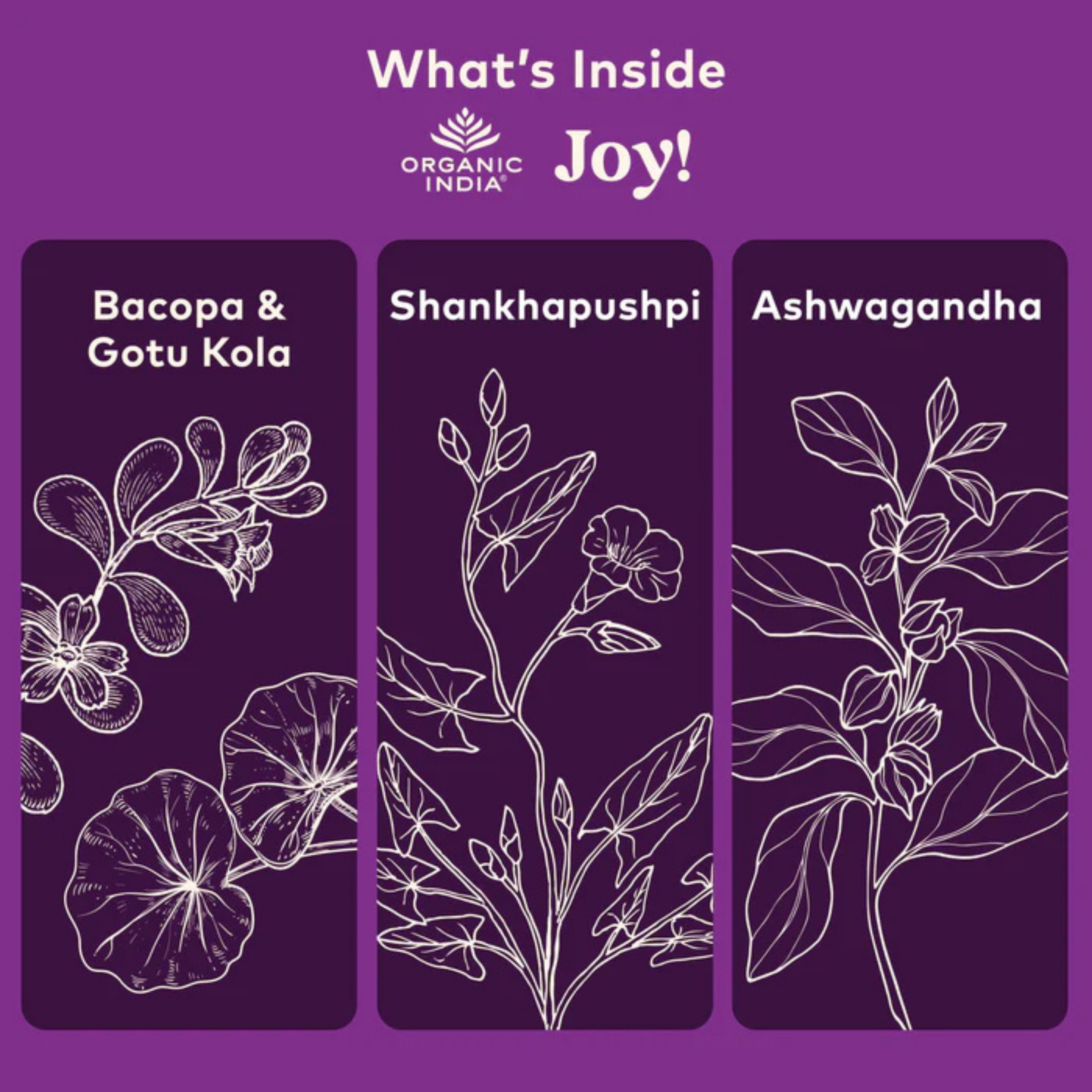Organic India, Joy Elevates Mood, 90 Vegetarian Caps