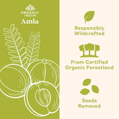 Organic India, Amla, 1,000 Mg, 90 Vegetarian Cap