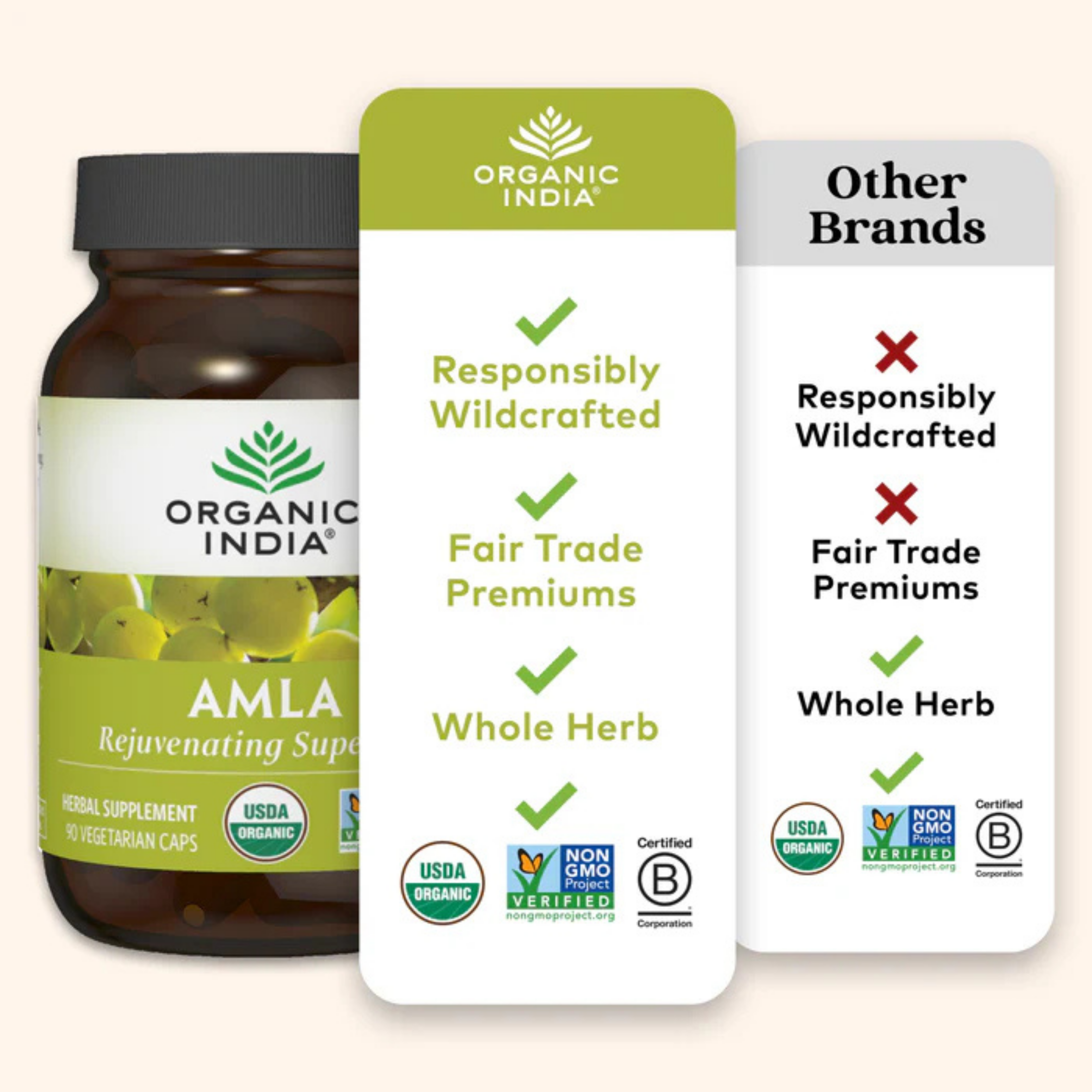 Organic India, Amla, 1,000 Mg, 90 Vegetarian Cap