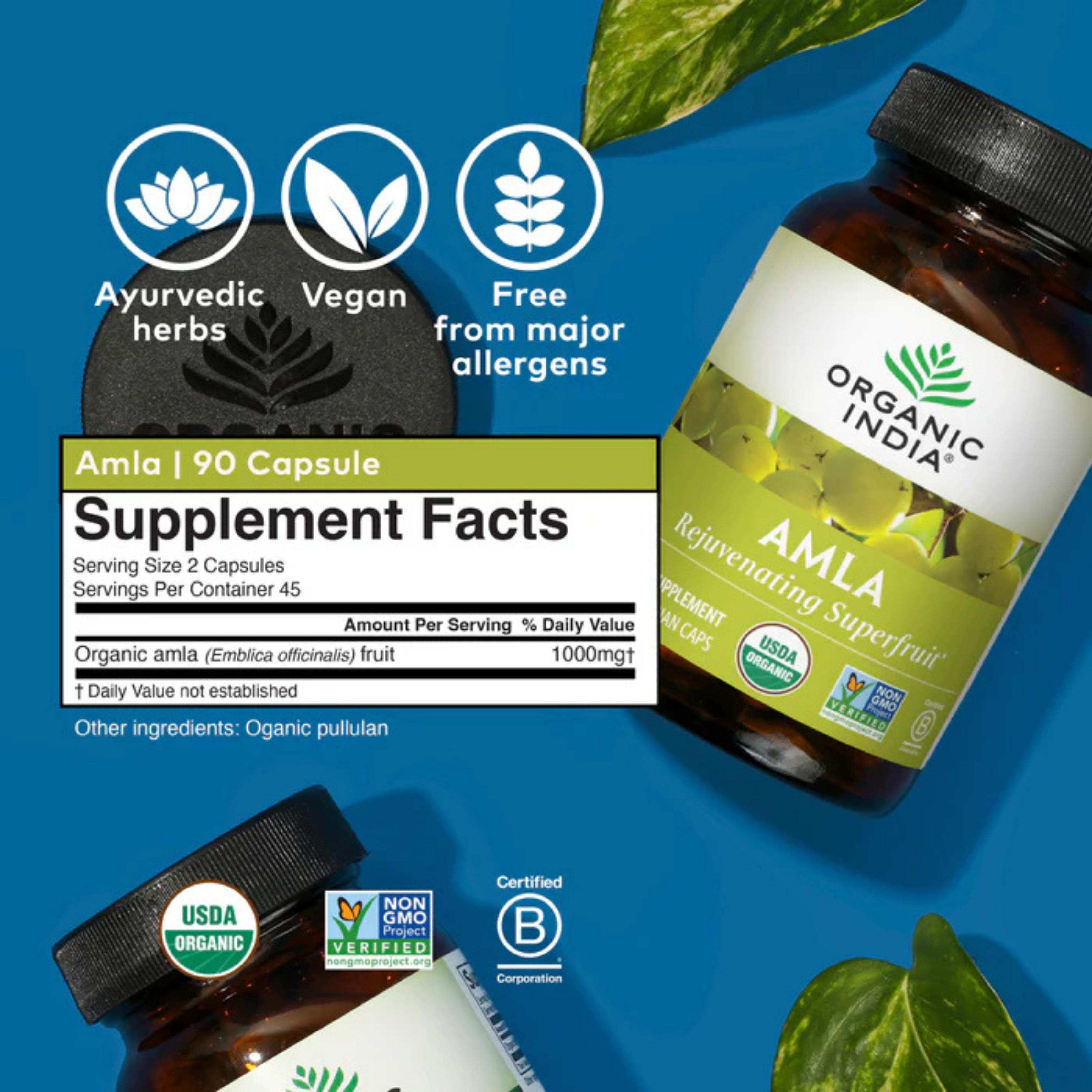 Organic India, Amla, 1,000 Mg, 90 Vegetarian Cap