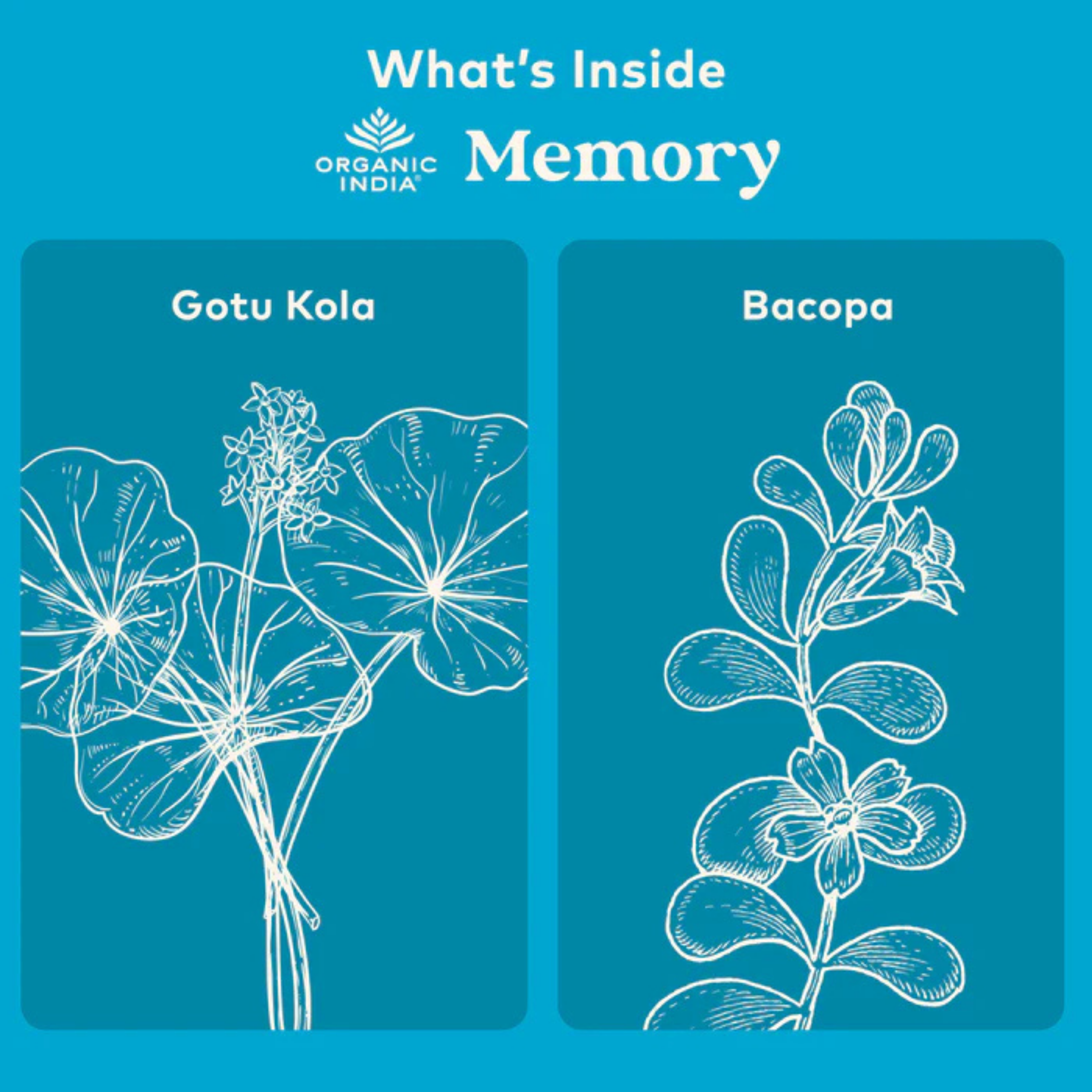 Organic India, Memory, 90 Vegetarian Caps
