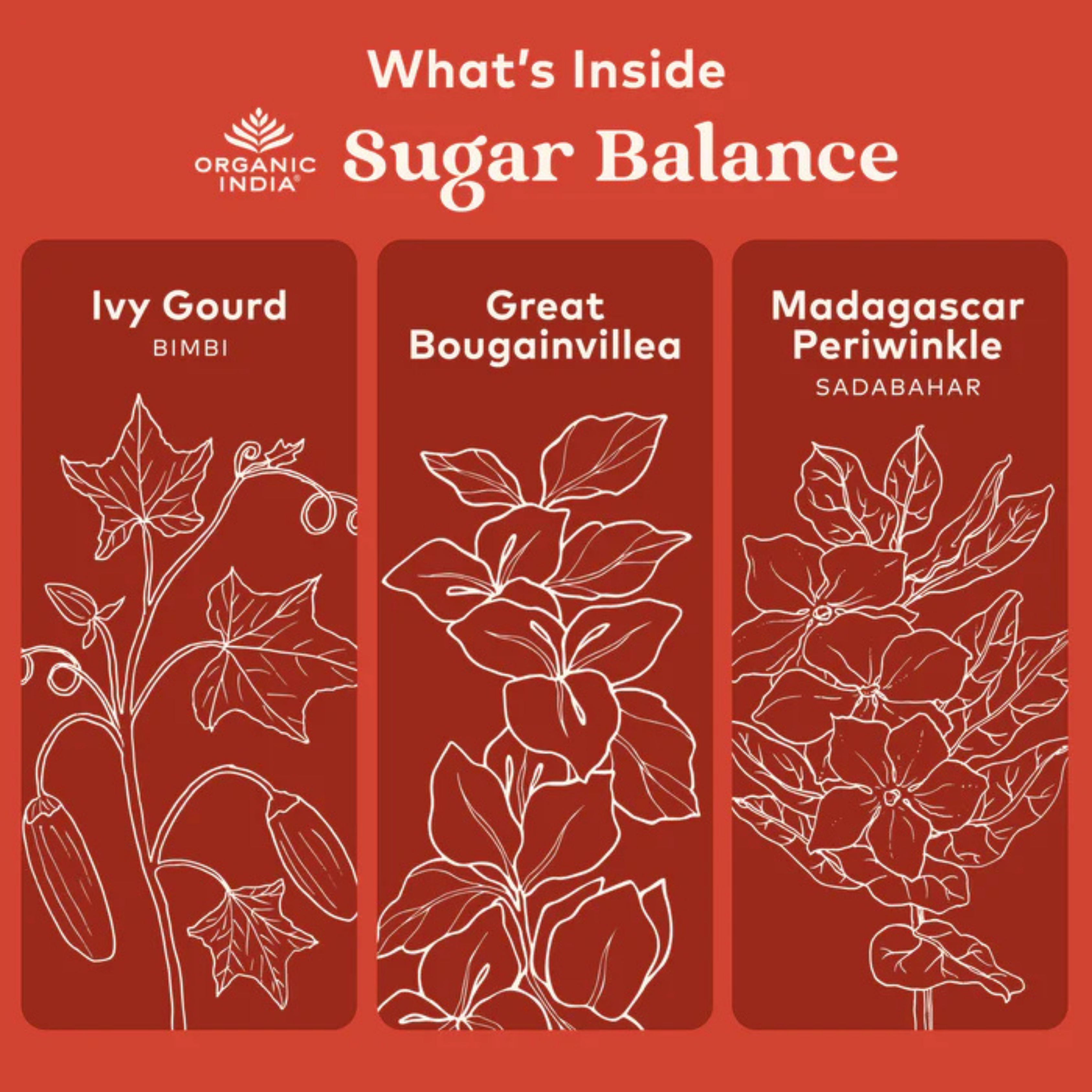 Organic India, Sugar Balance, Healthy Glucose Metabolism, 90 Veg Caps