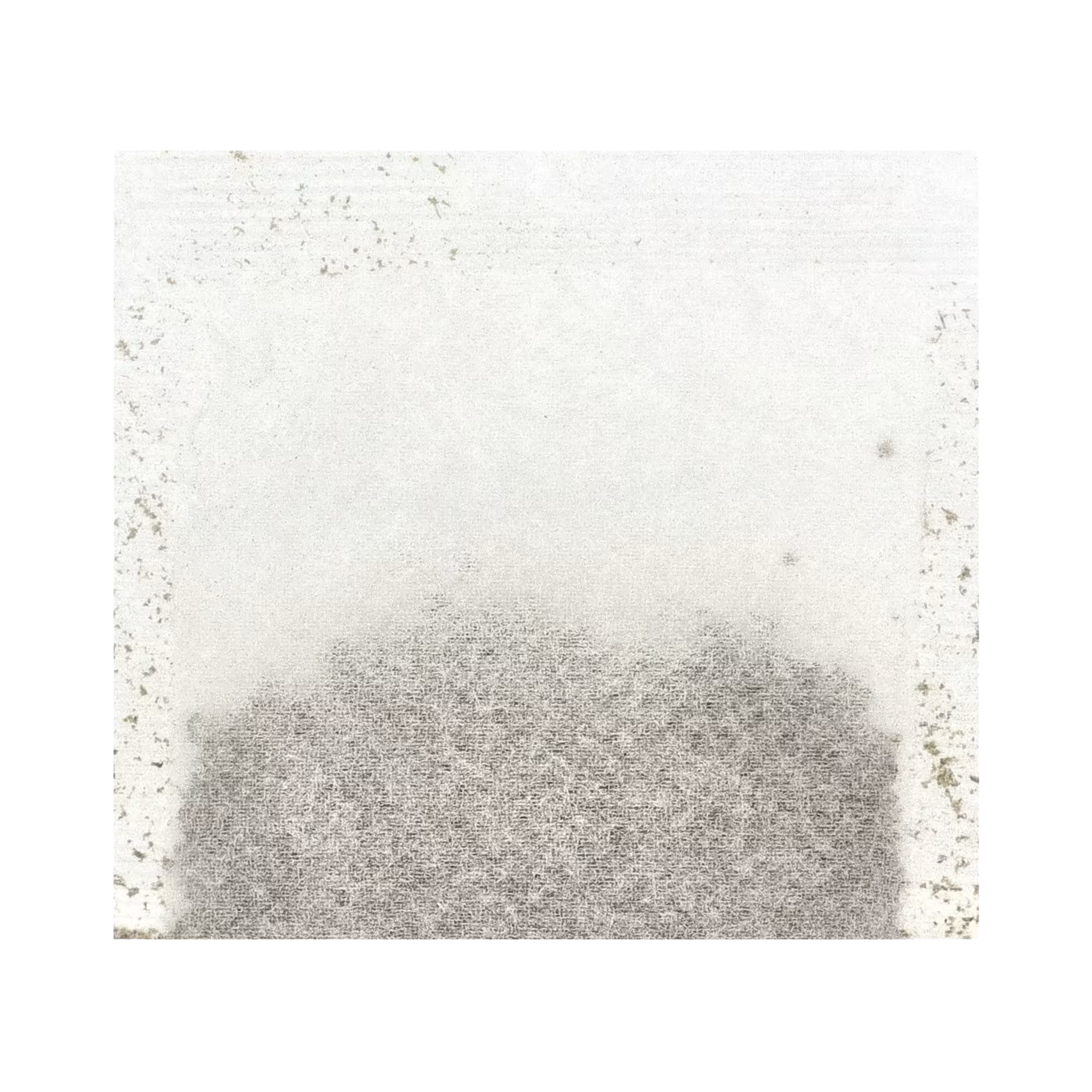 Bio Nutrition, Graviola Tea, Caffeine Free, 30 Tea Bags, 2 Oz